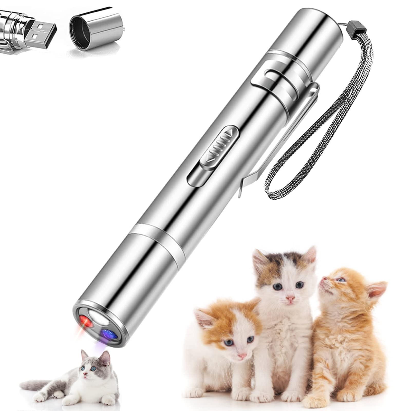 Silberner Laserpointer mit roten und blauen Lichtern. Drei Kätzchen schauen auf den Pointer.