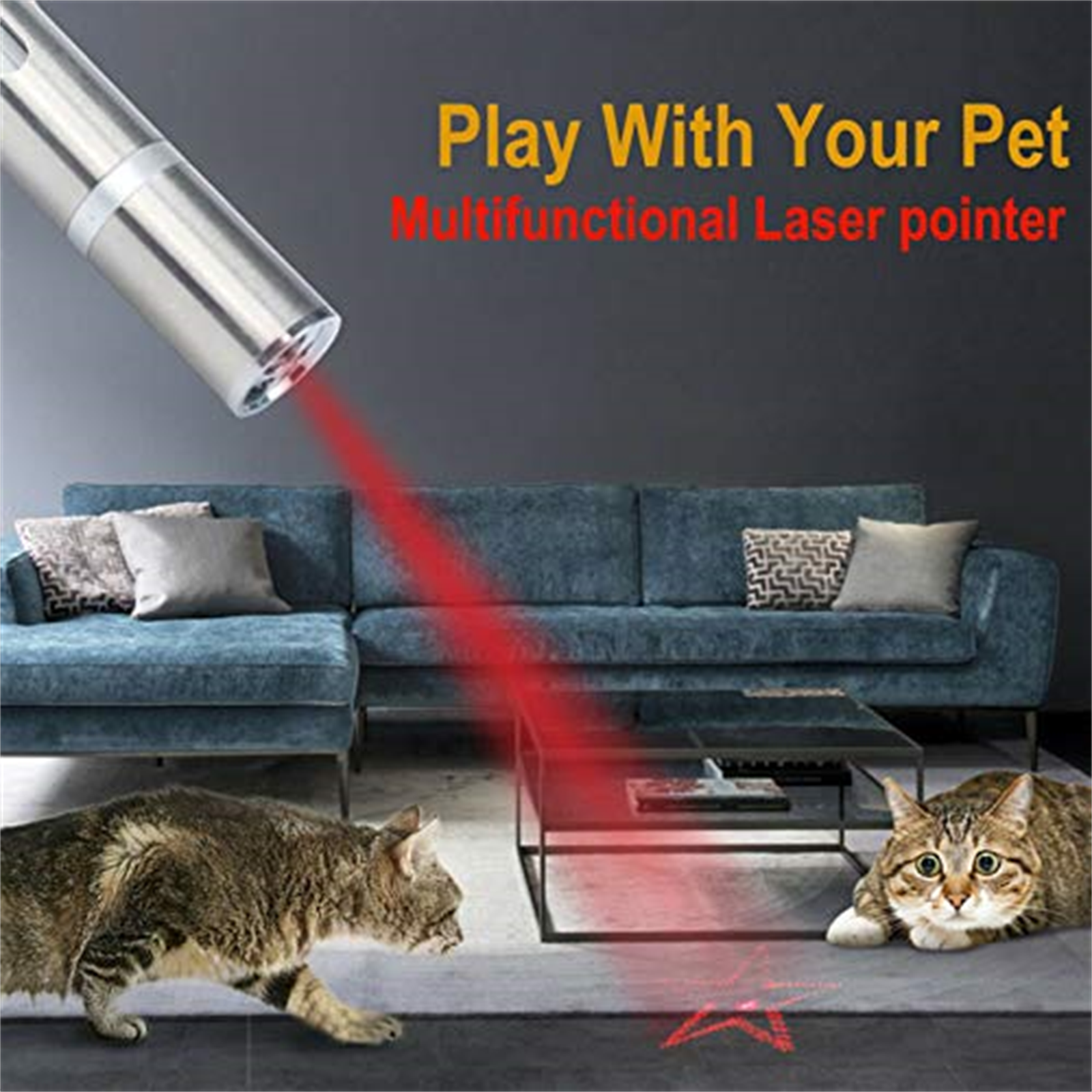 Zwei Katzen spielen mit einem roten Laserpointer auf grauem Teppich und blauem Sofa.