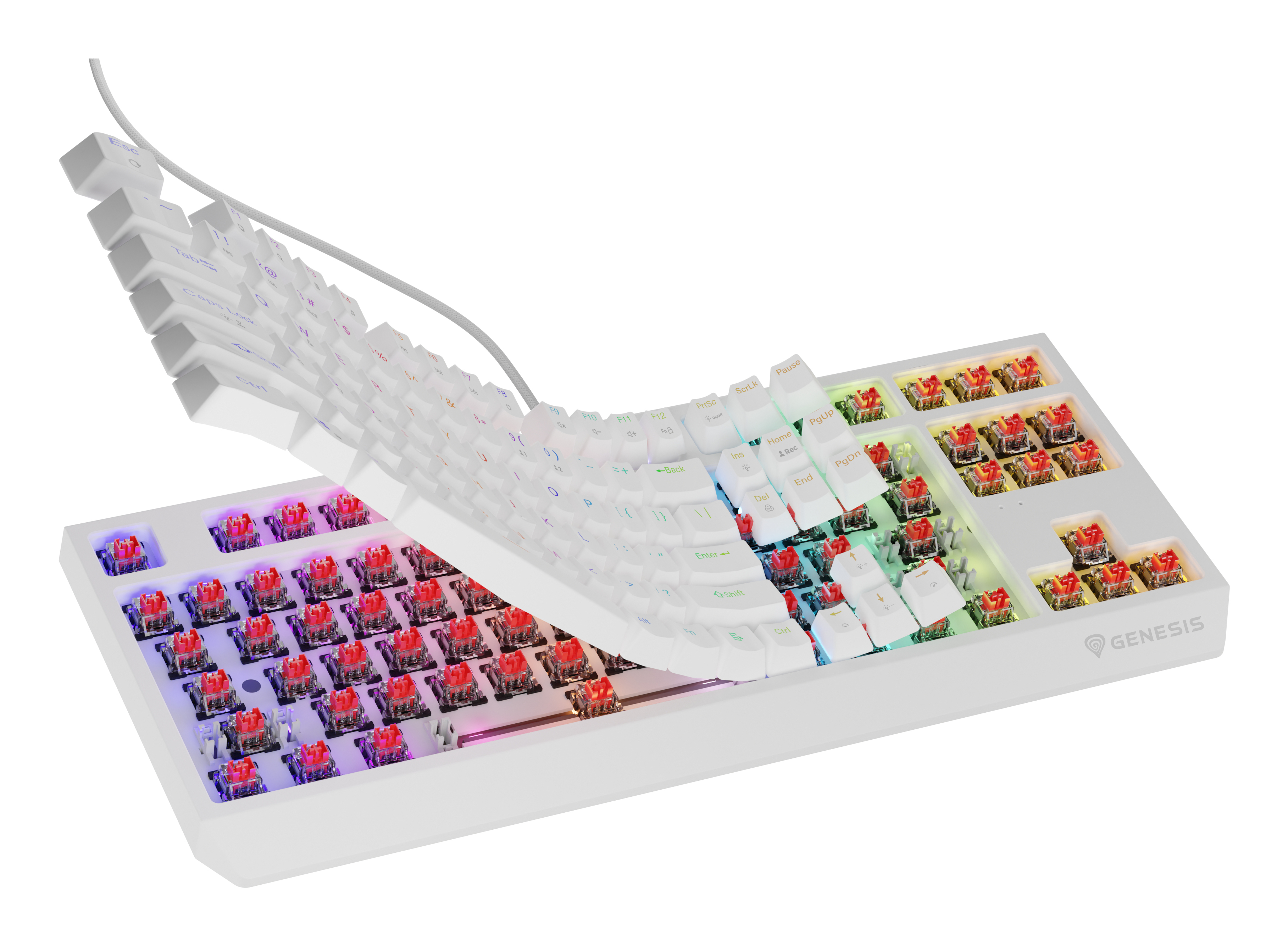 White keyboard with keys partially removed, showing red switches, Genesis brand.