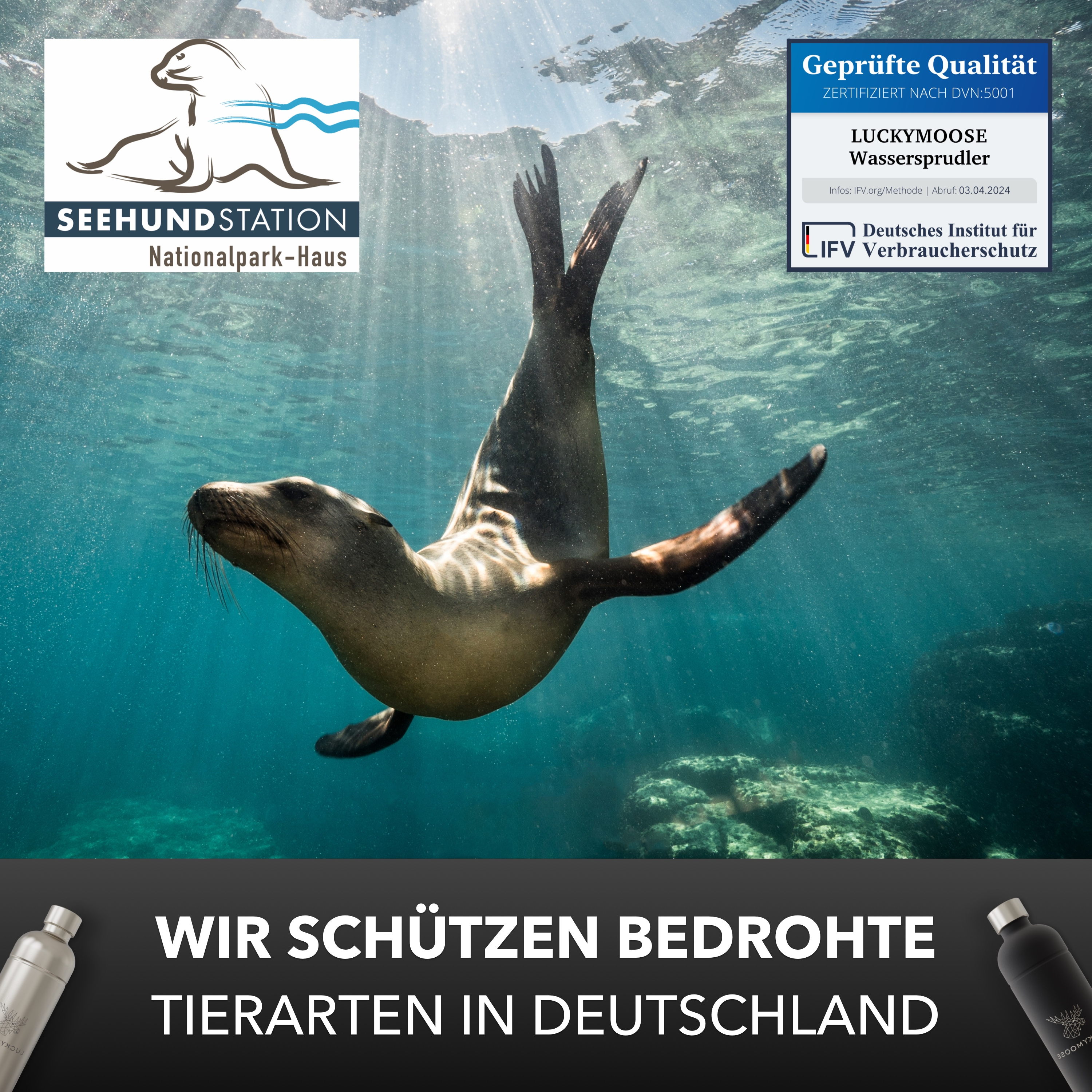 Ein Seehund im Wasser mit blauem Hintergrund. Im Hintergrund befinden sich Logos und Text.