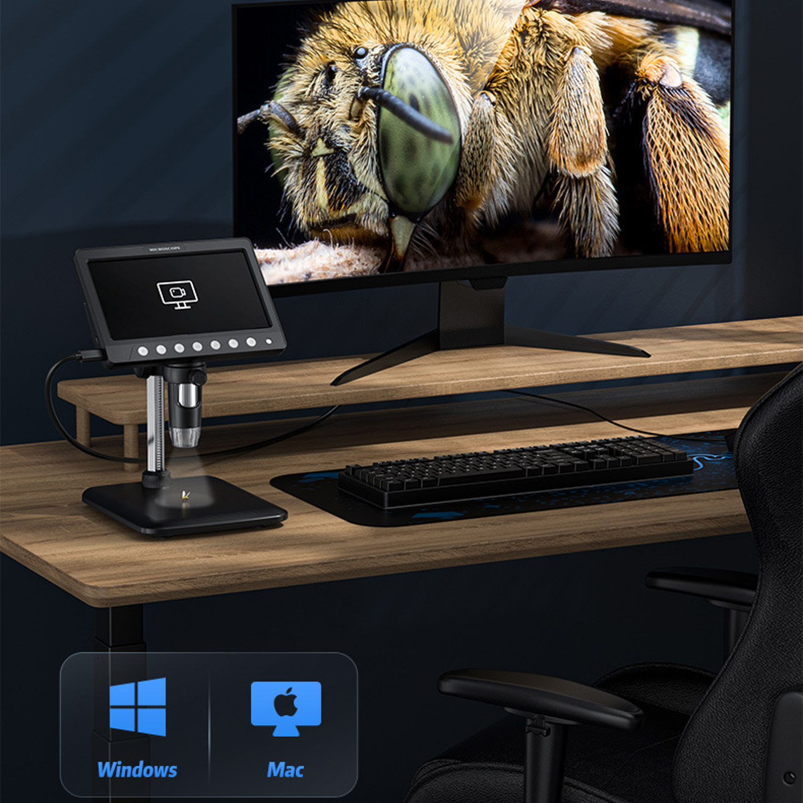 Mikroskop an Monitor angeschlossen. Großes Bienenbild auf dem Monitor. Windows- und Mac-Symbole.