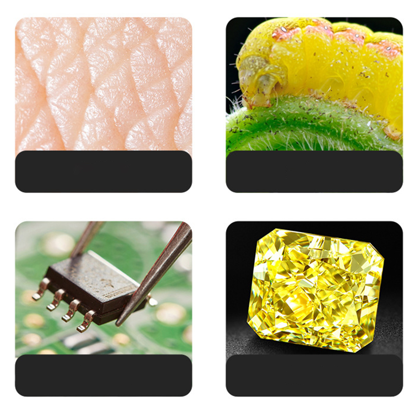 Hautstruktur, Raupe auf Blatt, IC-Chip von Pinzette gehalten, gelber Diamant.