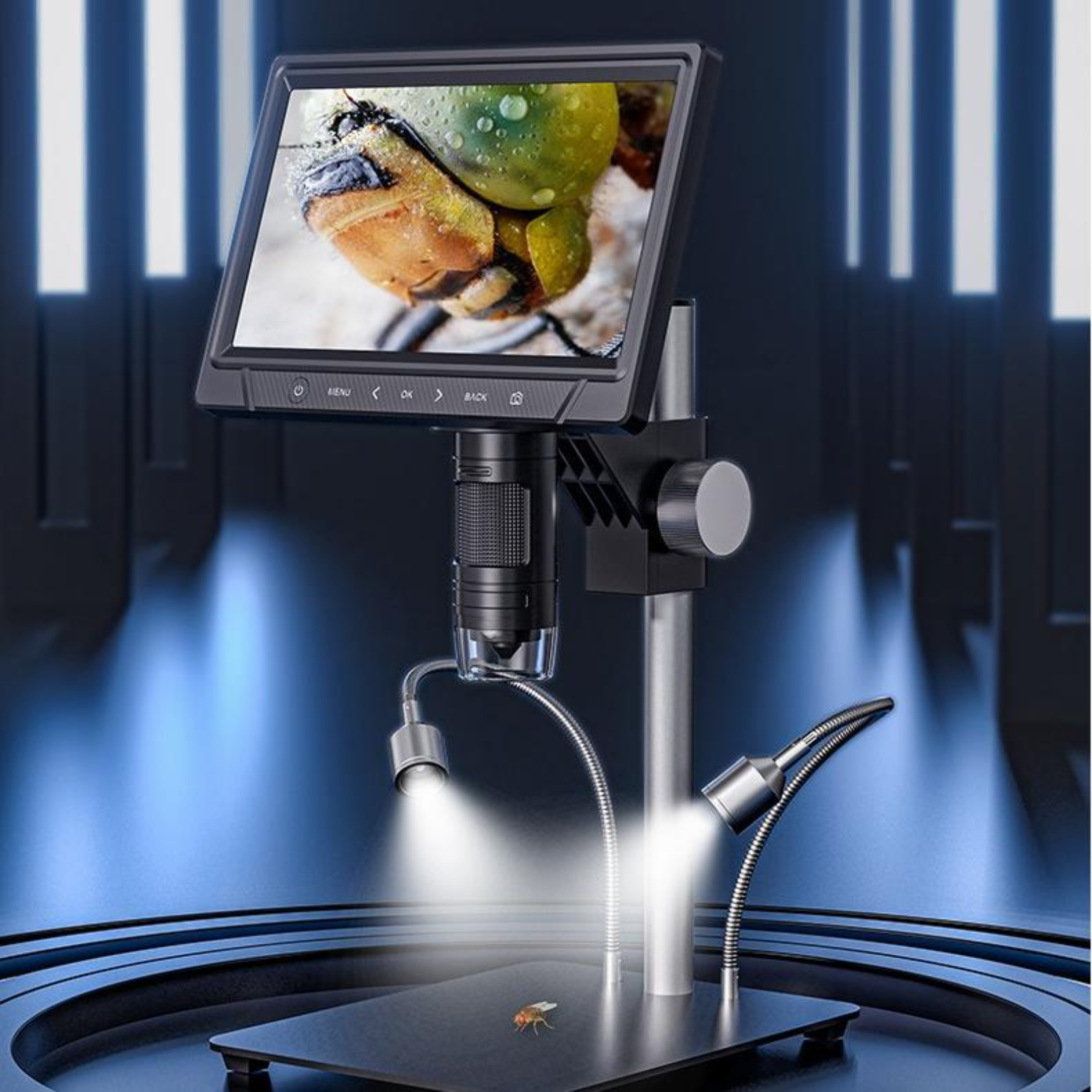 Mikroskop mit Insektenbild auf dem Bildschirm und zwei Lichtstrahlen. Dunkelblauer Hintergrund.