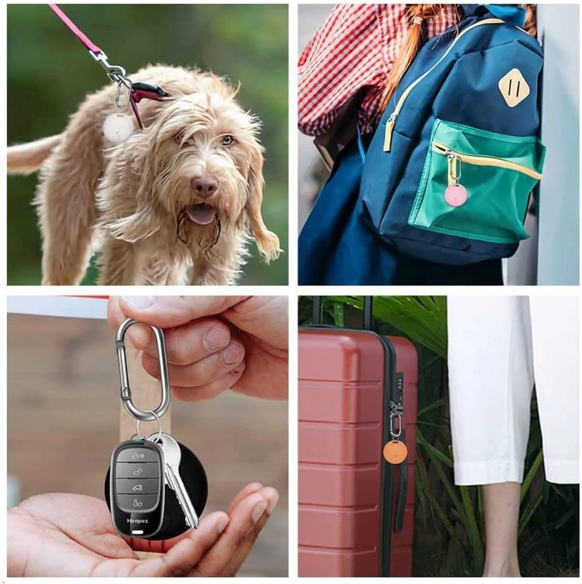 Fotos eines Ortungsgeräts, das an einem Hund, Rucksack, Schlüsseln und Gepäck befestigt ist.