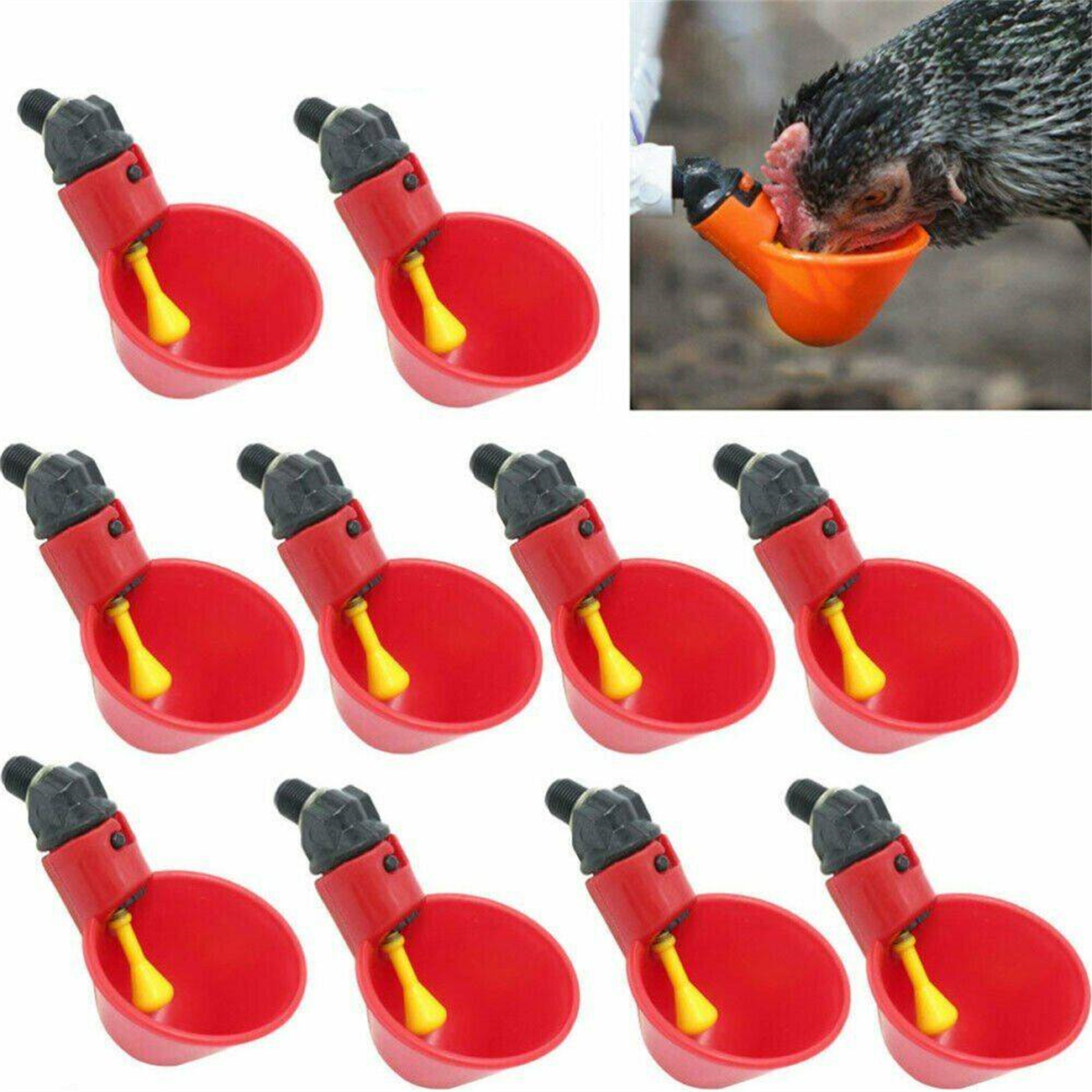 Rote Hühnertränken mit gelben Ausgüssen; eine wird von einem Huhn benutzt.