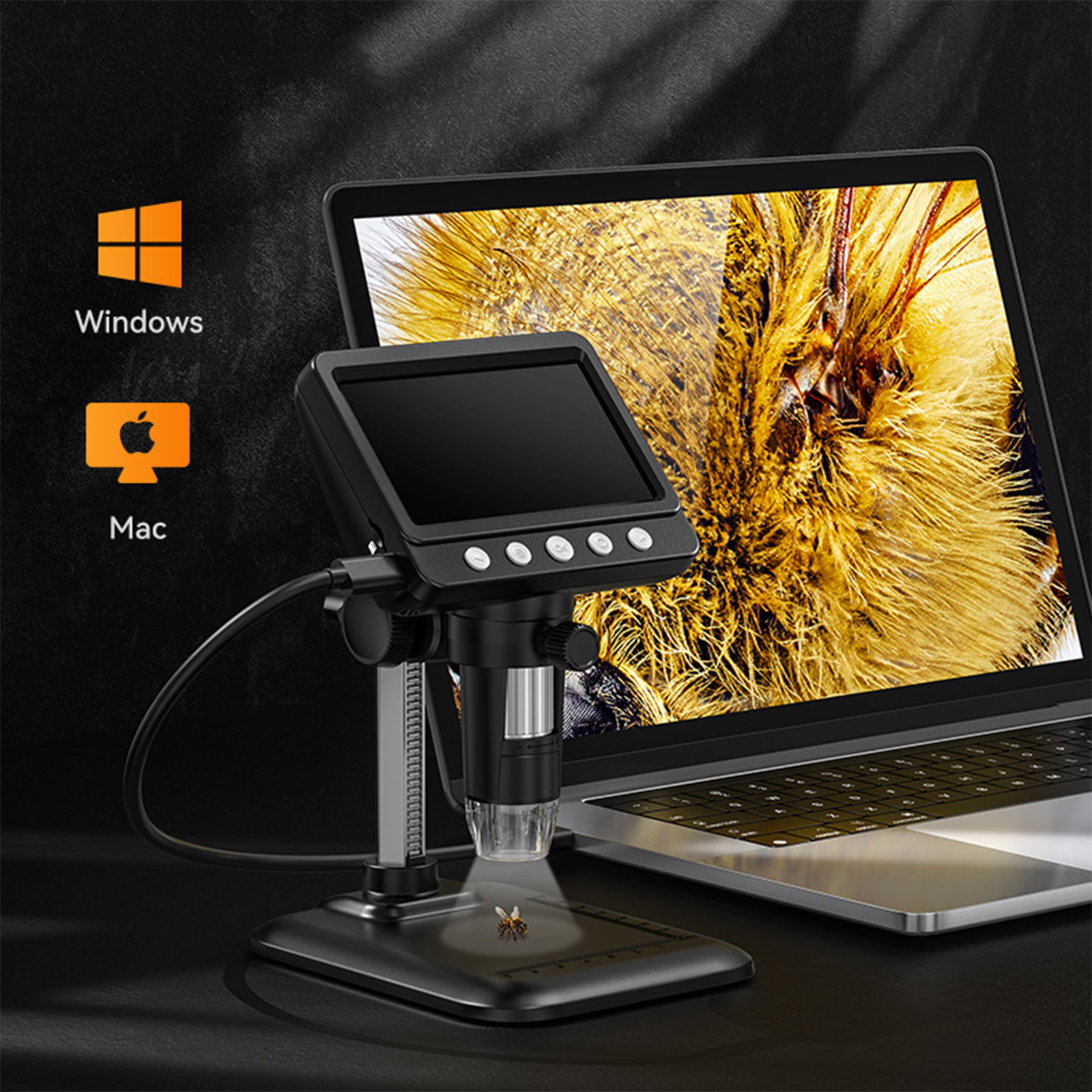 Ein Mikroskop mit Laptop, der eine Biene zeigt, sowie Windows- und Mac-Logos.