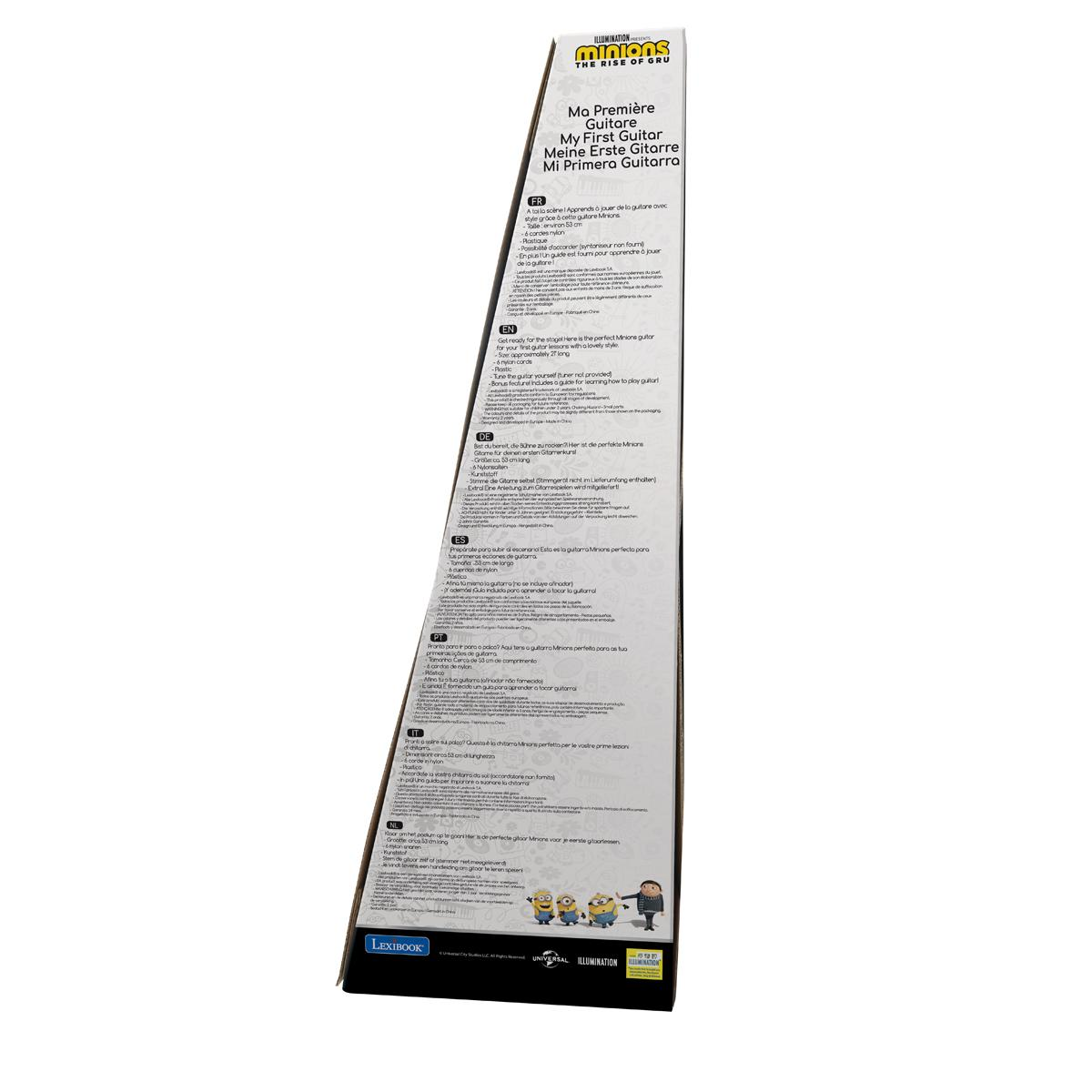Pudełko na gitarę z wielojęzycznym tekstem i postaciami Minionków na dole.