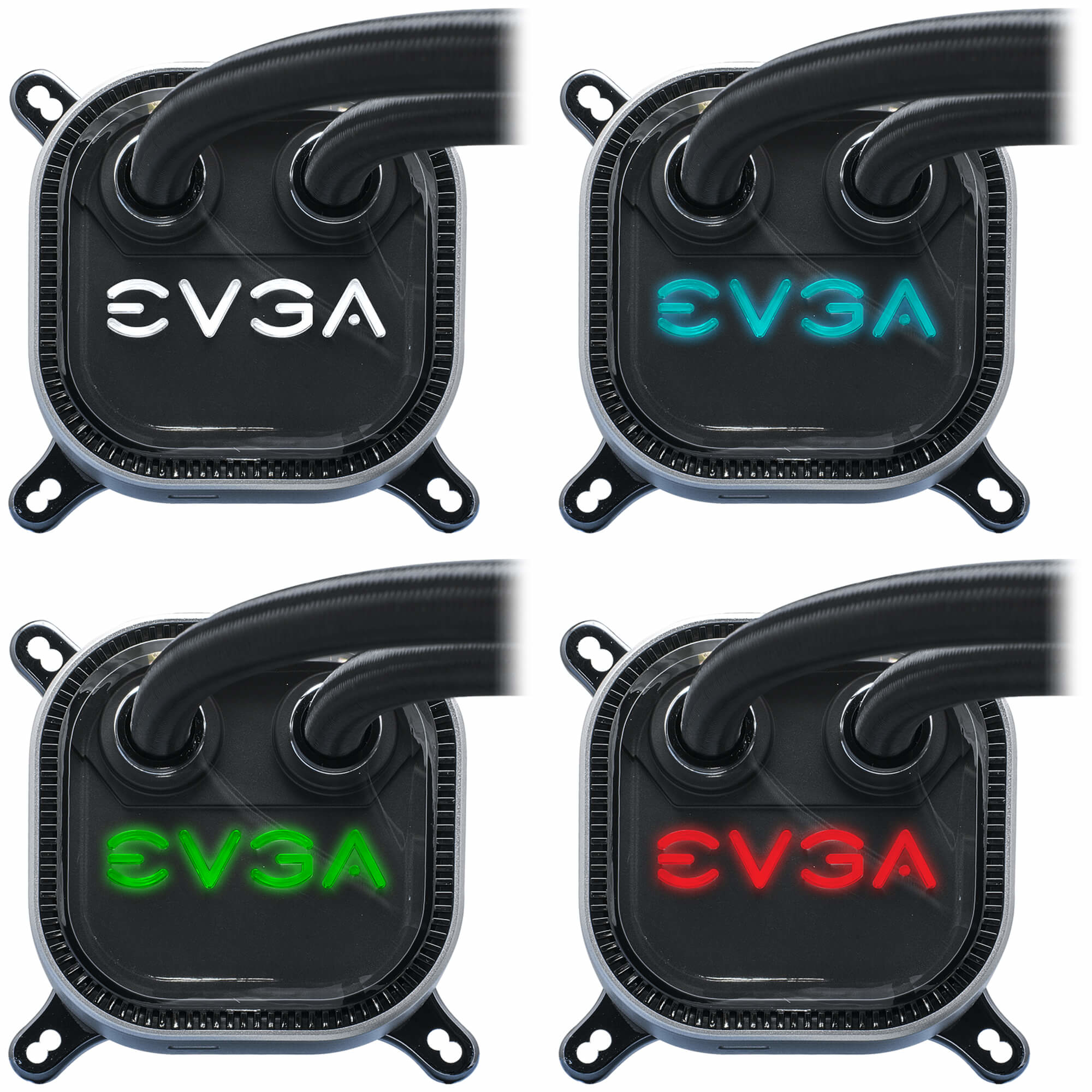 Quattro immagini di un sistema di raffreddamento a liquido. Il logo EVGA sulla pompa cambia colore: bianco, blu, verde e rosso.