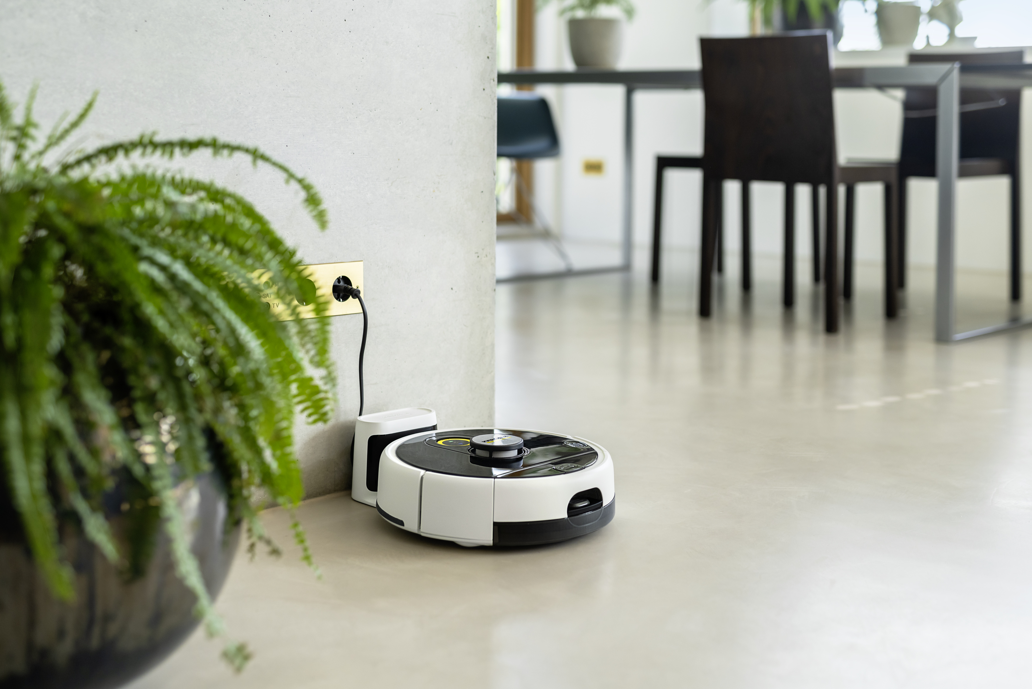 Robot sprzątający ładuje się przy ścianie. Paproć w doniczce na pierwszym planie.