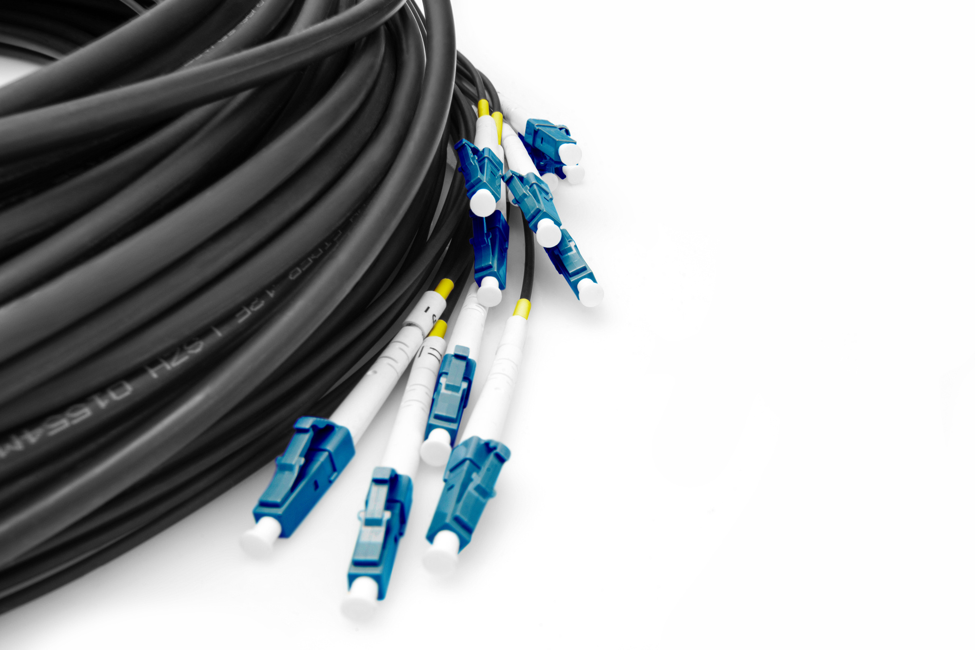 Cavo in fibra ottica nero arrotolato con più connettori blu e bianchi.