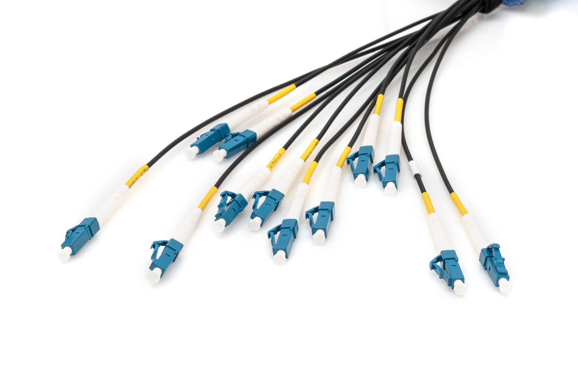 Primo piano delle estremità dei cavi in fibra ottica, connettori bianchi con accenti blu e gialli. Sfondo bianco.