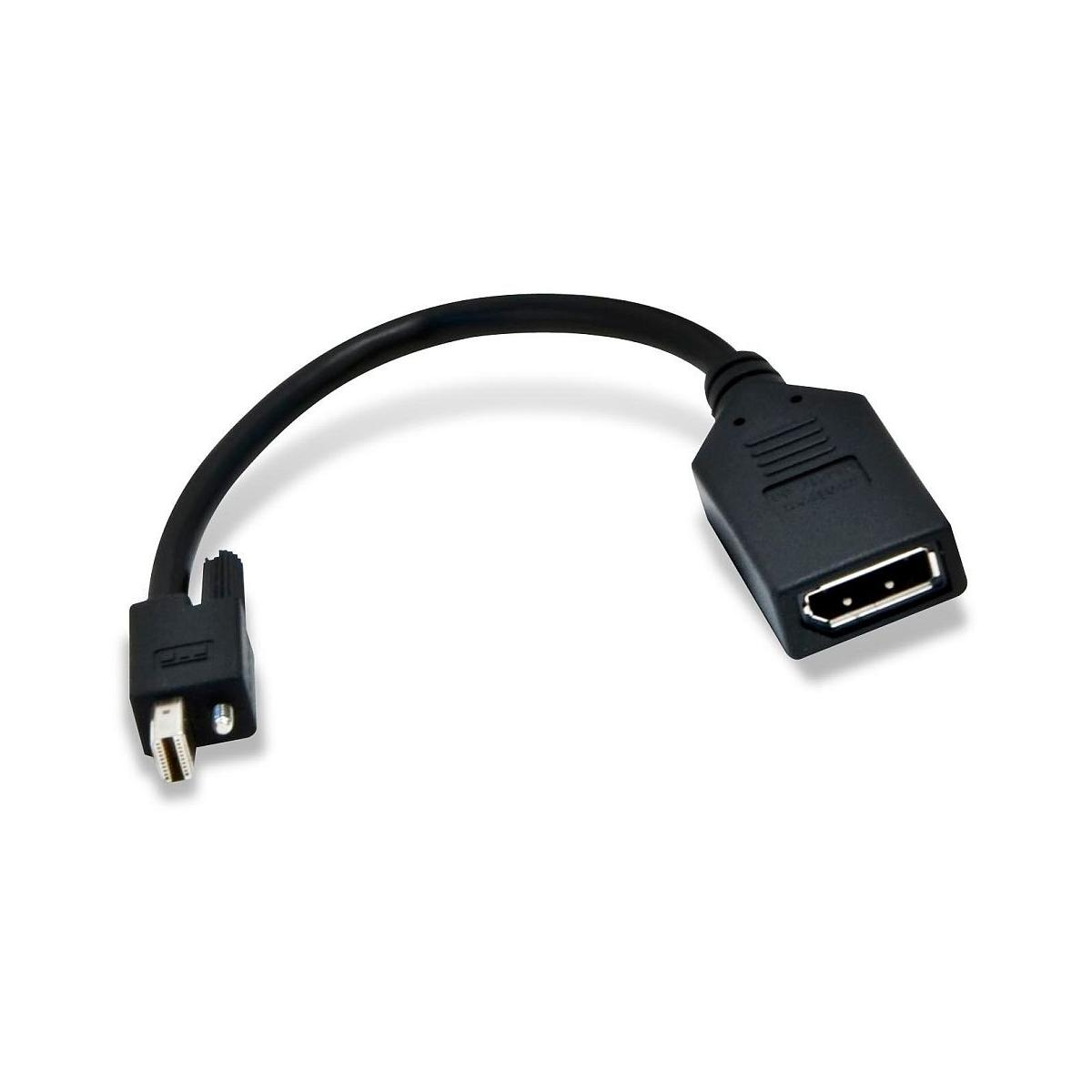 Adattatore DisplayPort nero con connettori oro e argento. Sfondo bianco.