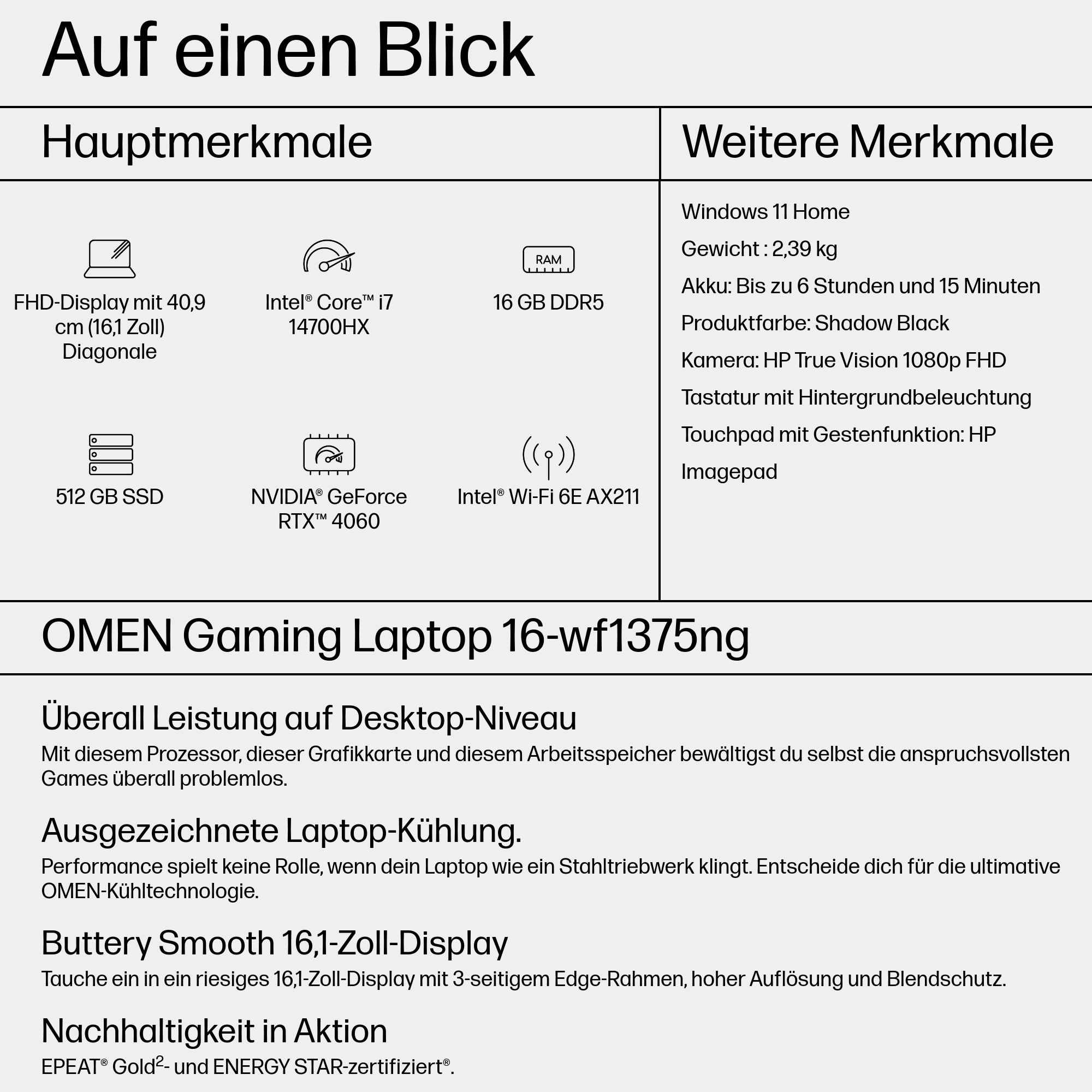 Ein Laptop mit Informationen zu seinen Funktionen wie Display, Prozessor, RAM usw. Weißer Hintergrund.