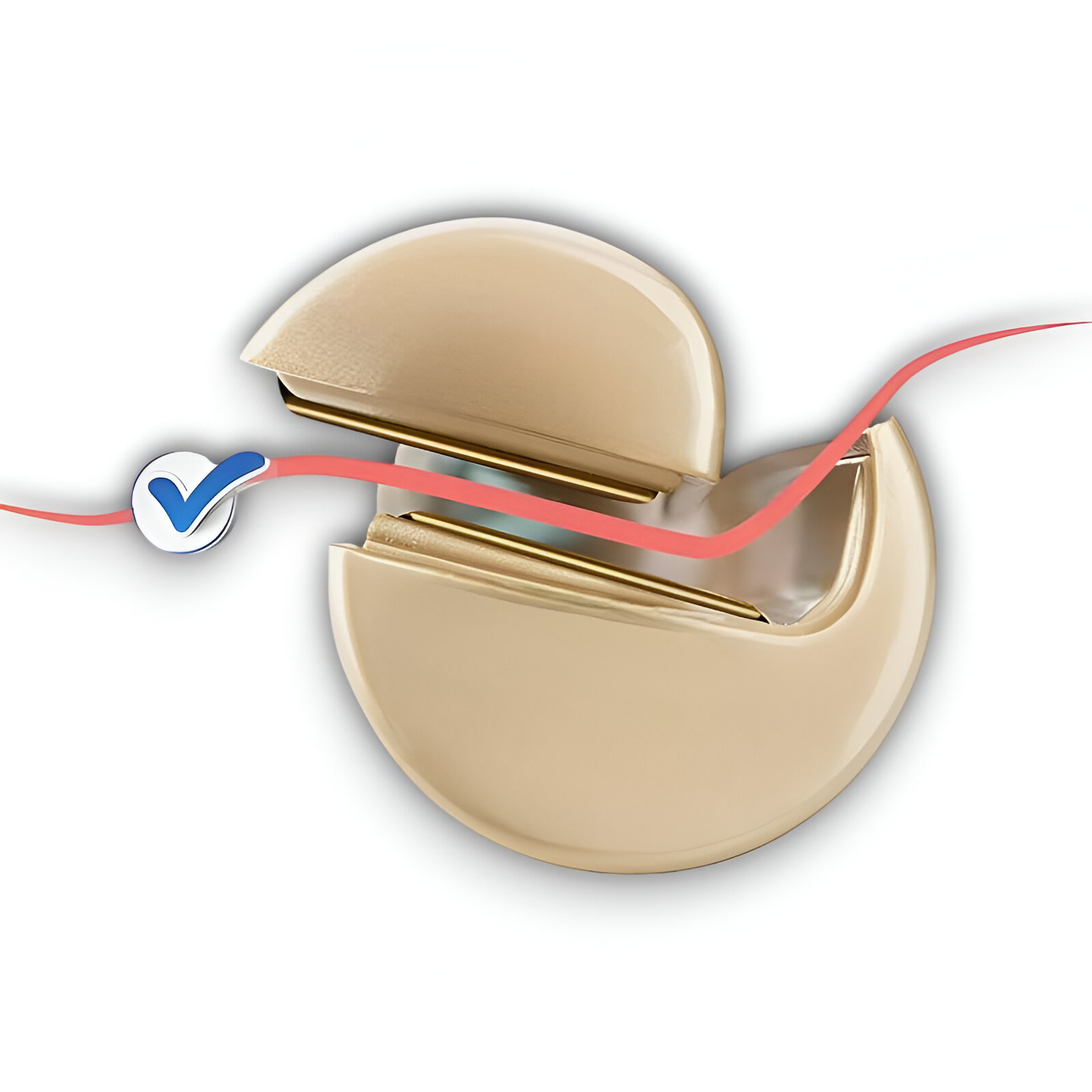 Corona dental con marca de verificación. Parte superior abierta, línea rosa, estructura interna.