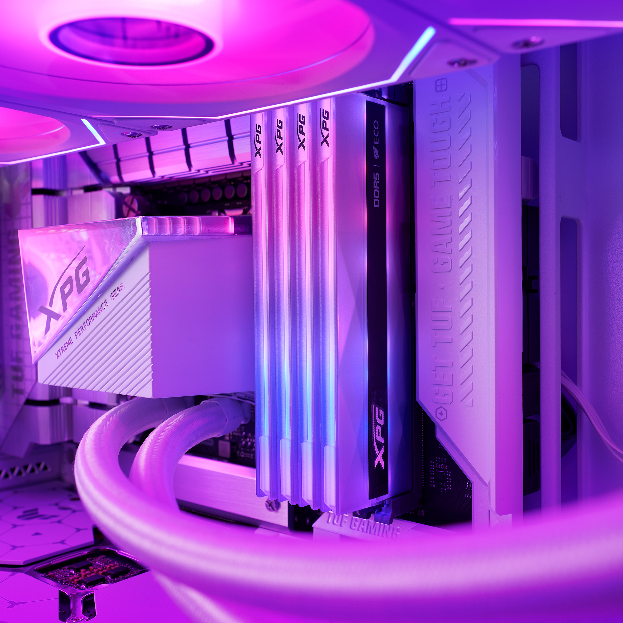 Wnętrze komputera z pamięciami RAM, białym i fioletowym oświetleniem. Logo XPG.