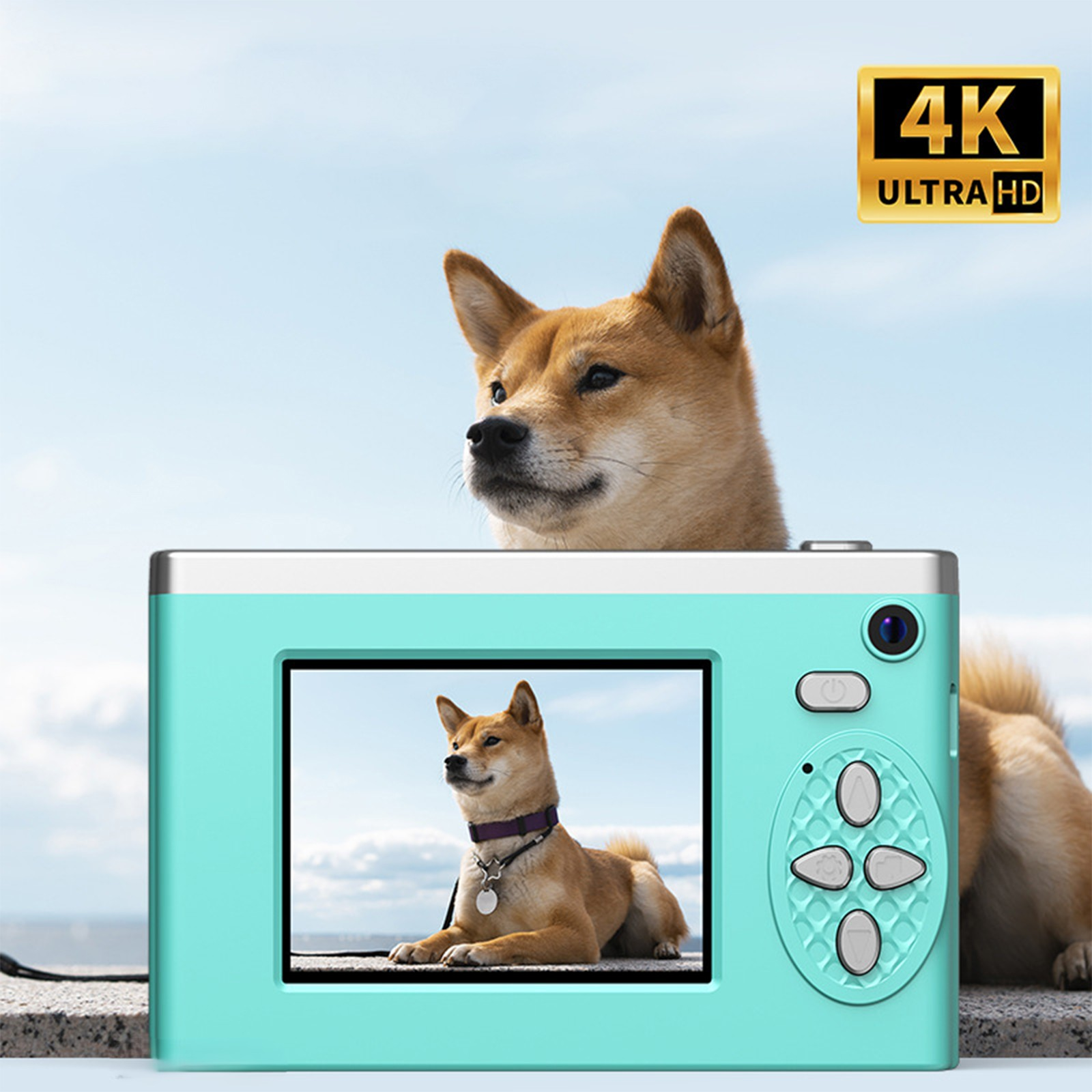 Eine türkisfarbene Digitalkamera mit einem Shiba Inu-Hund auf dem Bildschirm und über der Kamera.