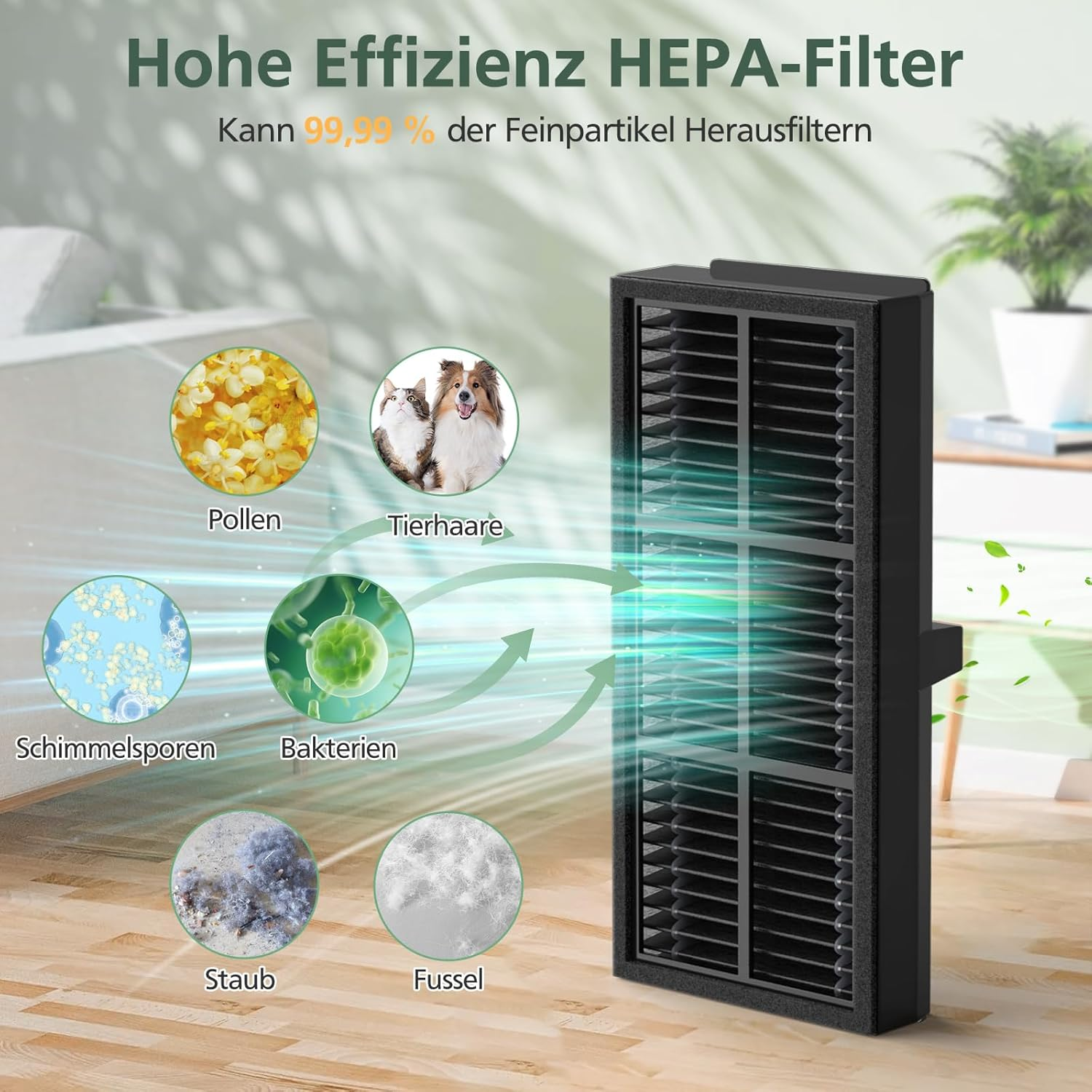 Filtr ze zdjęciami pyłków, sierści zwierząt, zarodników pleśni, bakterii, kurzu i kłaczków.