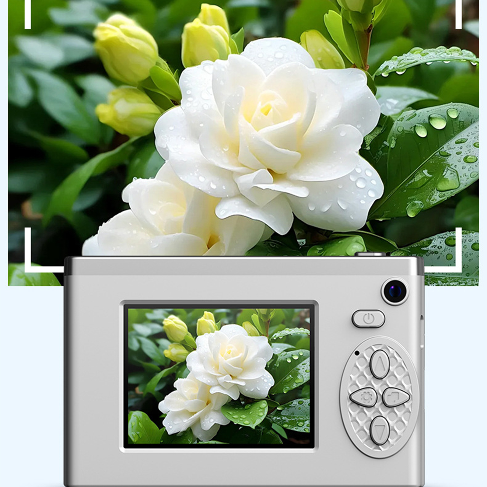 Eine Kamera, die ein Bild weißer Blumen zeigt, mit weiteren im Hintergrund.