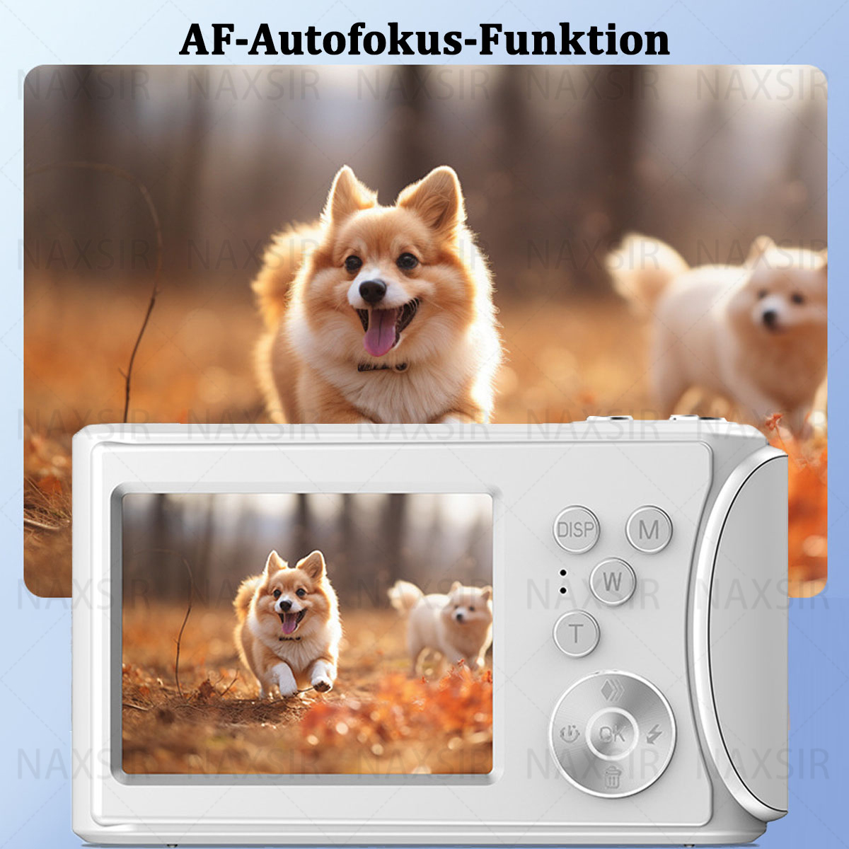 Weiße Digitalkamera mit Hundefotos. Zwei Hunde im Hintergrund, mit Waldhintergrund.