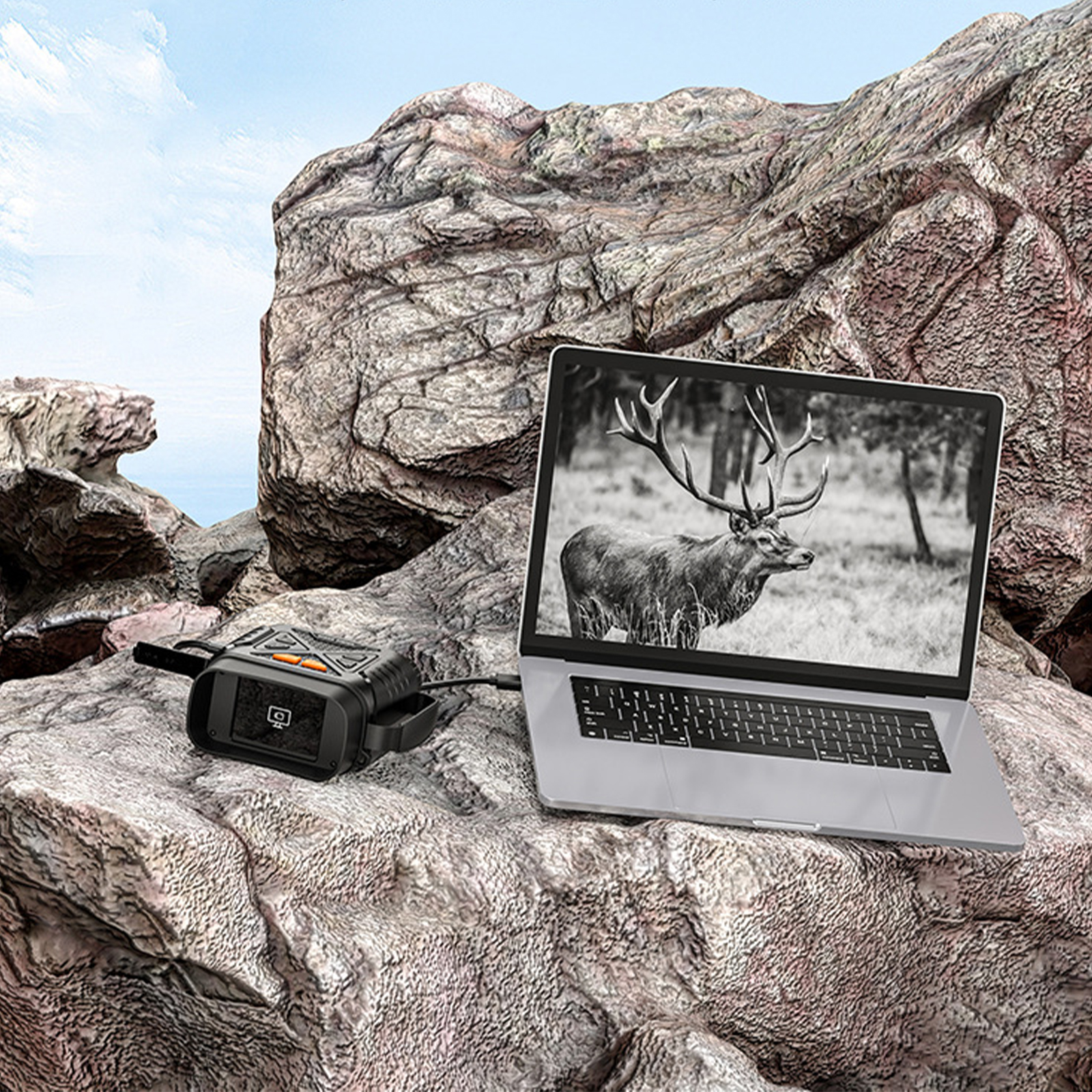 Laptop auf einem Felsen mit Hirschbild. Ein schwarzes Gerät befindet sich links.