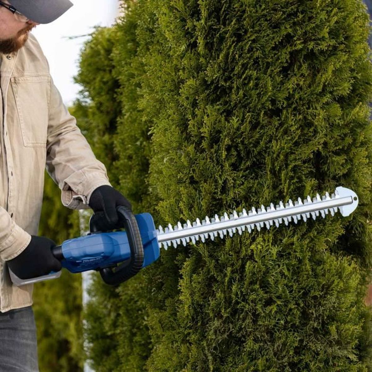 Ein Mann schneidet eine grüne Hecke mit einer blau-schwarzen elektrischen Heckenschere.