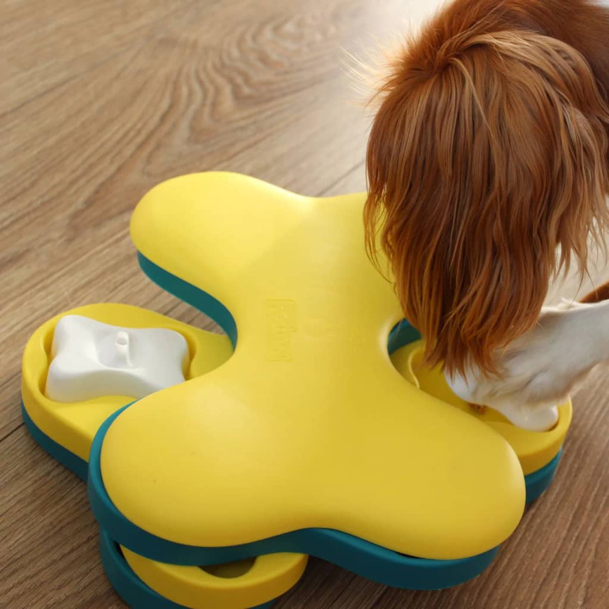 Giocattolo puzzle per cani giallo con un cane che interagisce su un pavimento in legno.