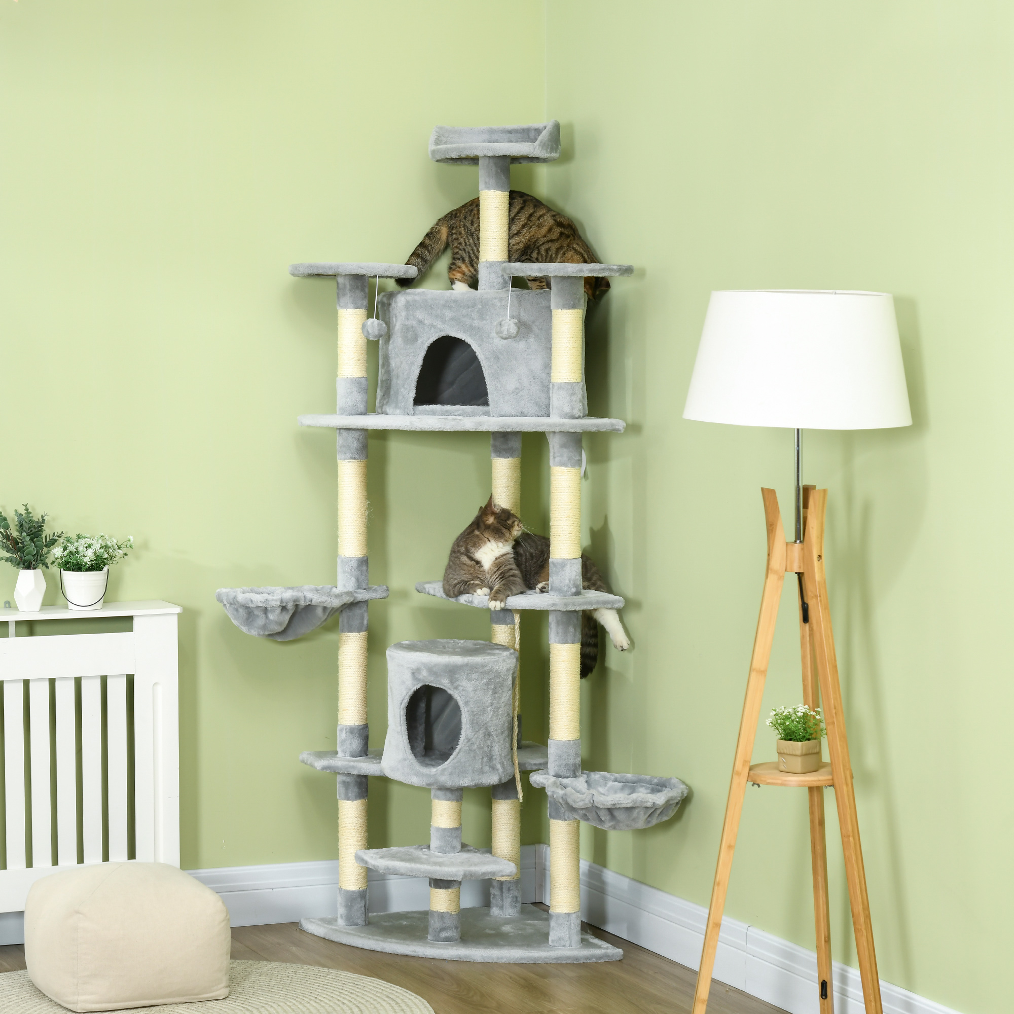 Katzenbaum in einer Ecke, zwei Katzen darauf. Grüne Wände, weißer Heizkörper und eine Lampe.
