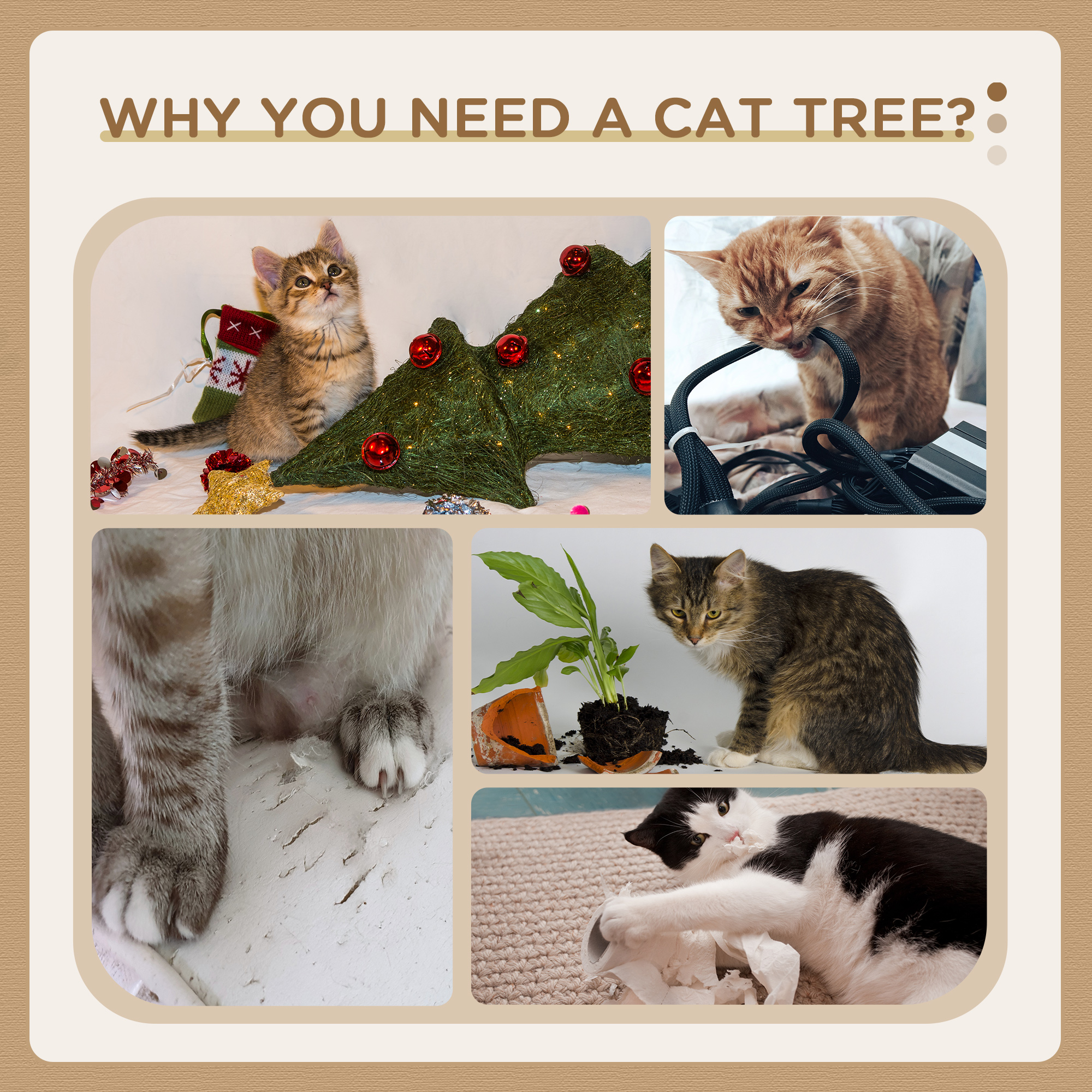 Collage von Katzen mit Weihnachtsbaum, Kabel beißen und mit Papier spielen.