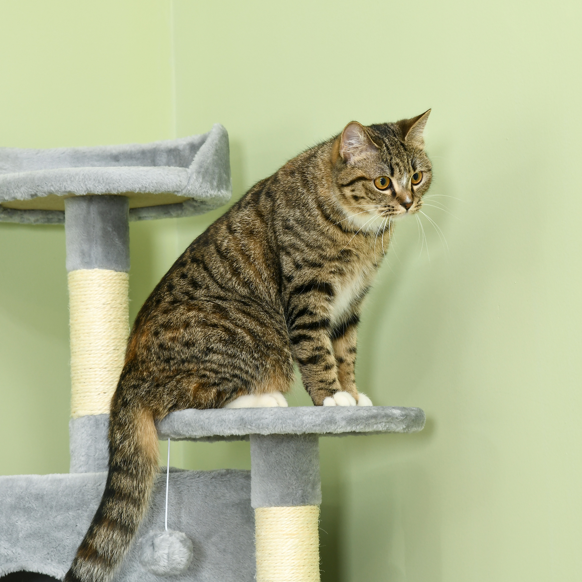 Getigerte Katze auf einem grauen Kratzbaum. Grüner Hintergrund.