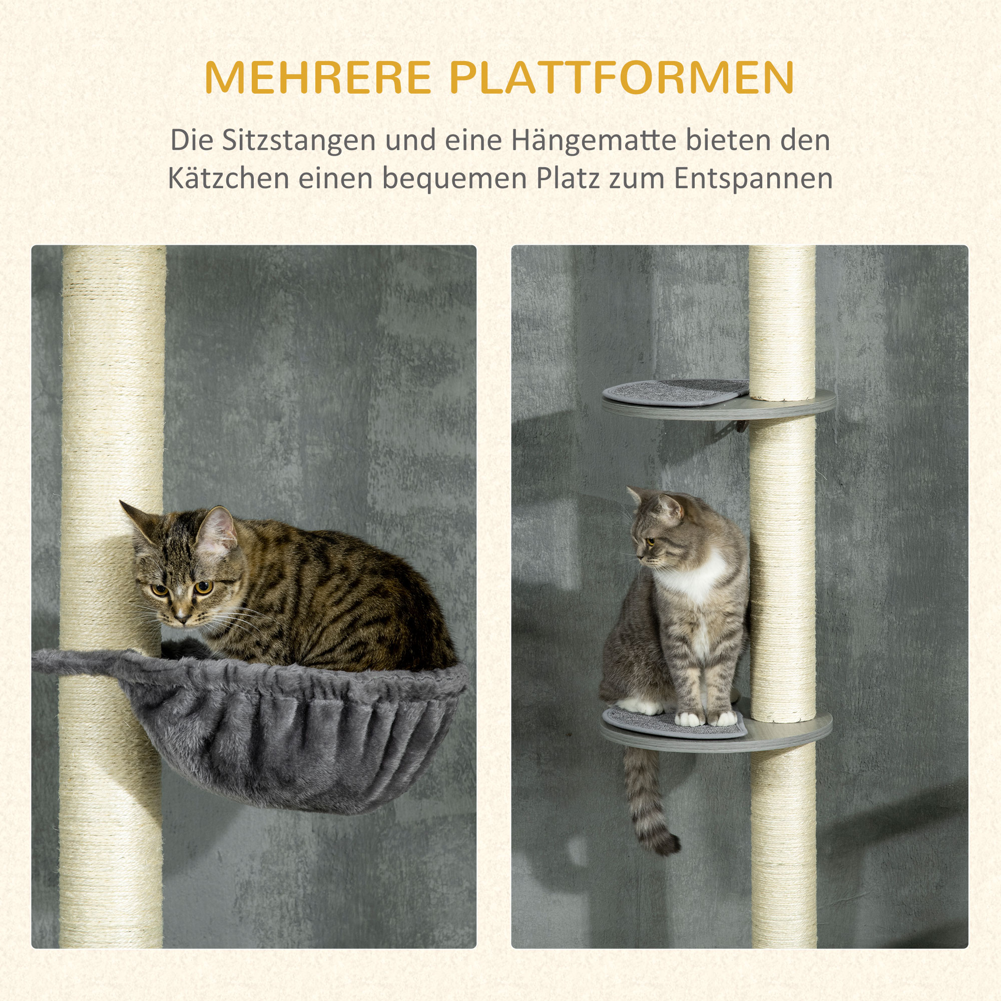 Zwei Bilder. Katzen auf einem Katzenbaum. Eine in einem Korb, die andere auf einem Regal. Text auf Deutsch sichtbar.