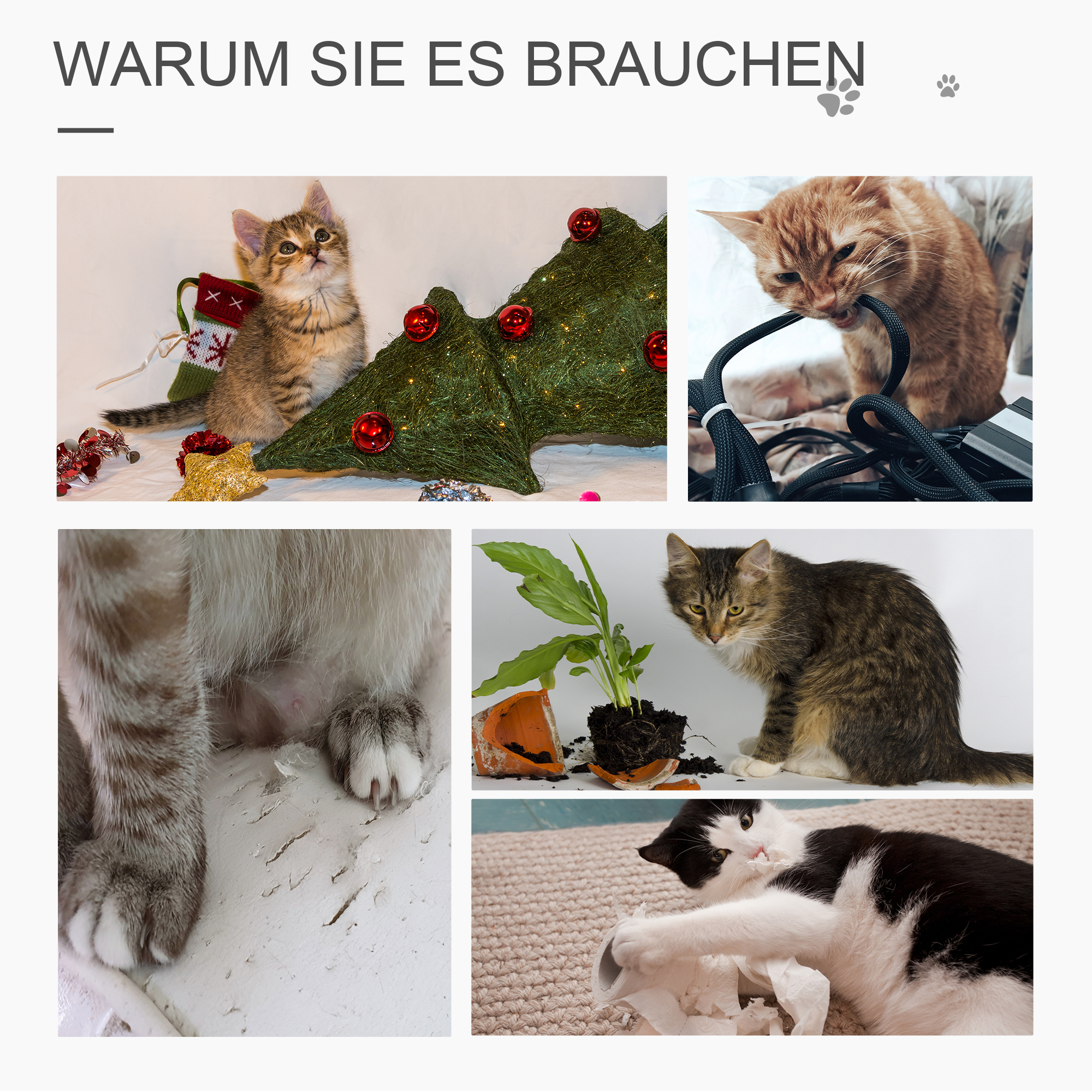 Collage von Katzen und Weihnachtsdekorationen. Eine Katze kaut an einem Kabel.