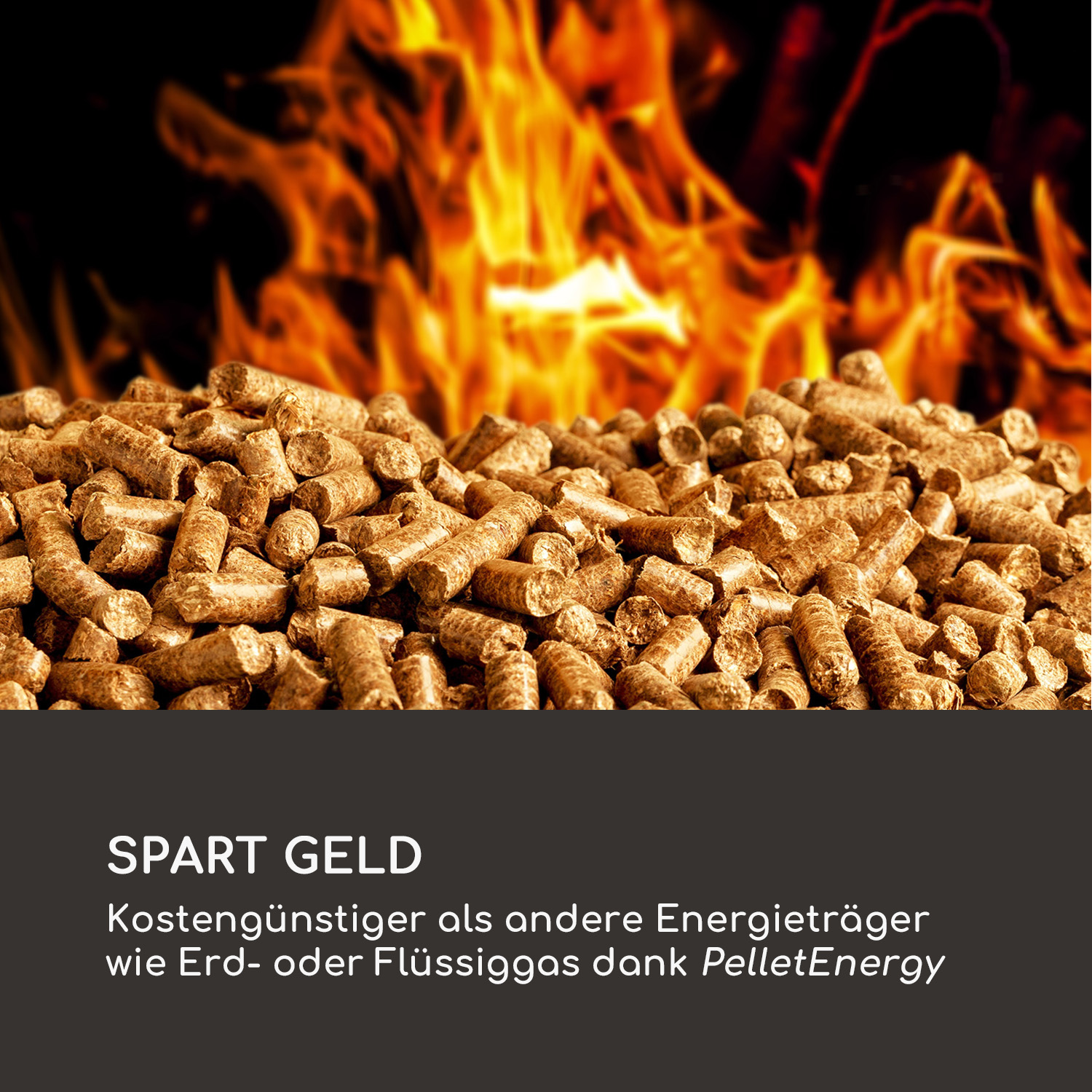 Nahaufnahme von Holzpellets mit verschwommenem Hintergrund eines Feuers. Text lautet 'SPART GELD'.