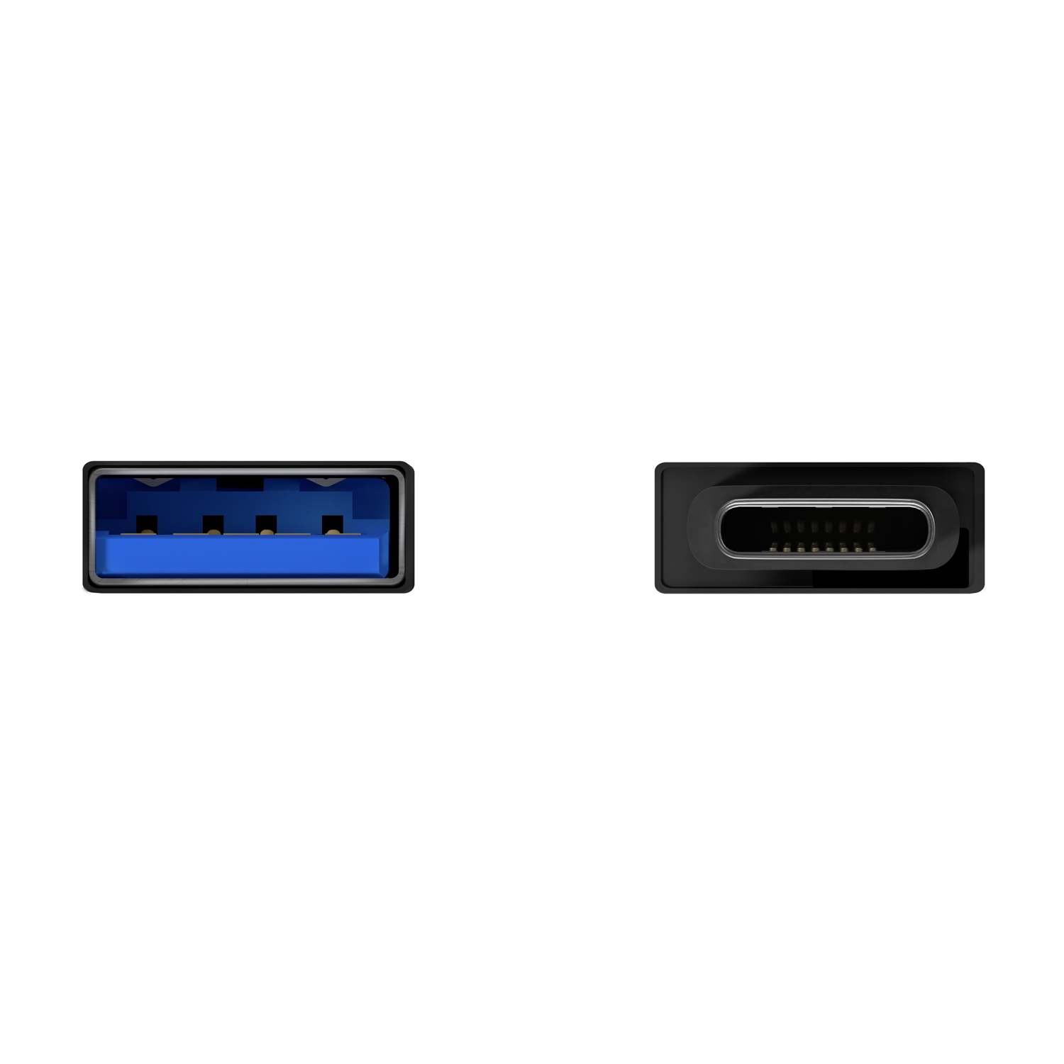 Un connettore USB-A a sinistra e un connettore USB-C a destra. Entrambi neri con interni blu.