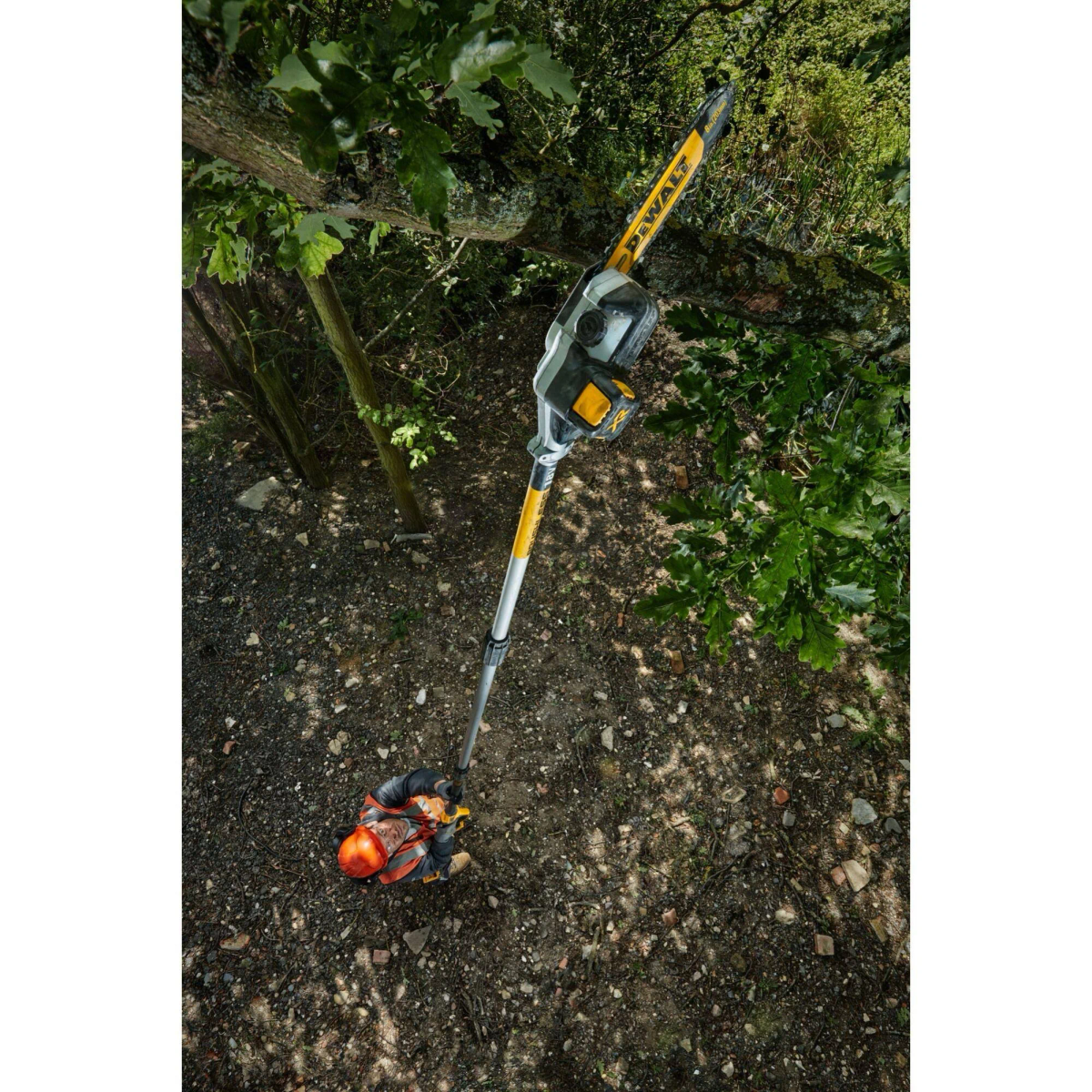 Eine Person benutzt eine DeWalt-Stangensäge, um einen Ast zu schneiden.