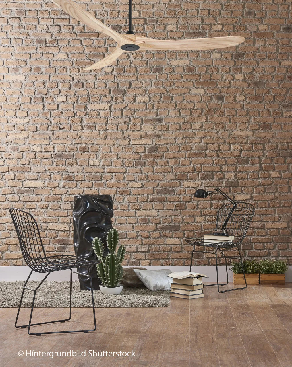 Ventilatore a soffitto sopra un muro di mattoni. Due sedie in filo, un cactus e libri.