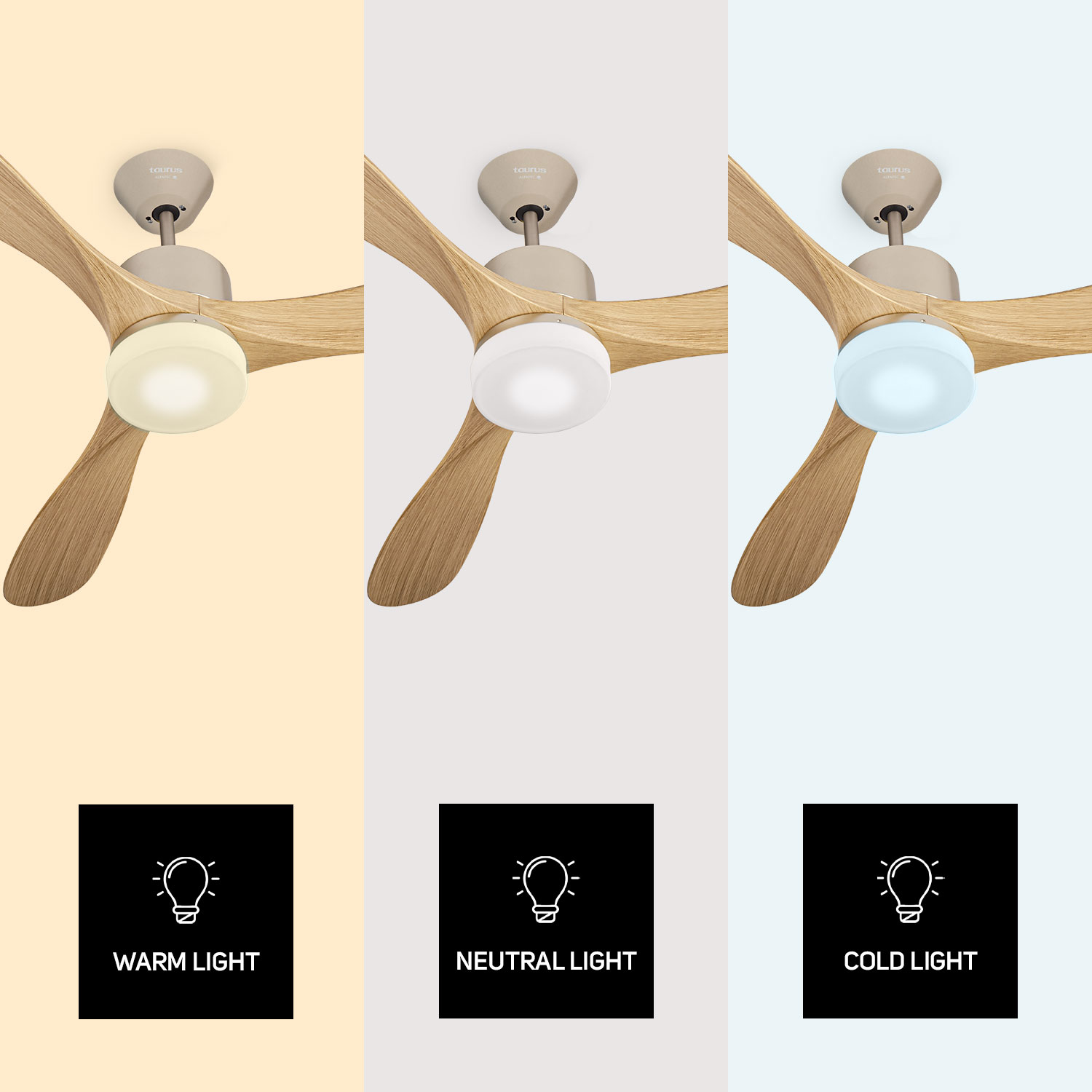 Tres ventiladores de techo con diferentes colores de luz: cálida, neutra y fría.