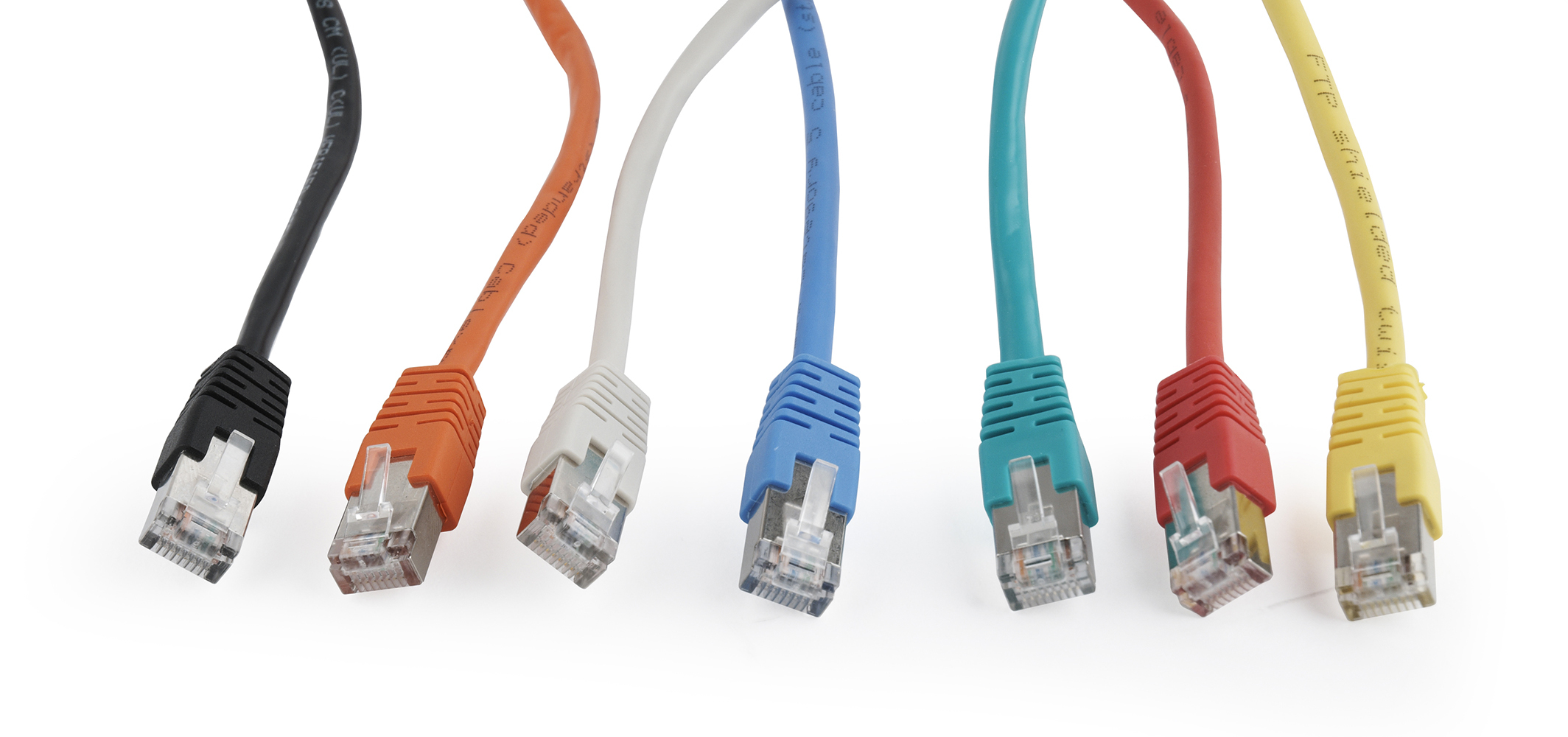 Plusieurs câbles Ethernet colorés avec des connecteurs RJ45 disposés en rang contre un fond blanc.