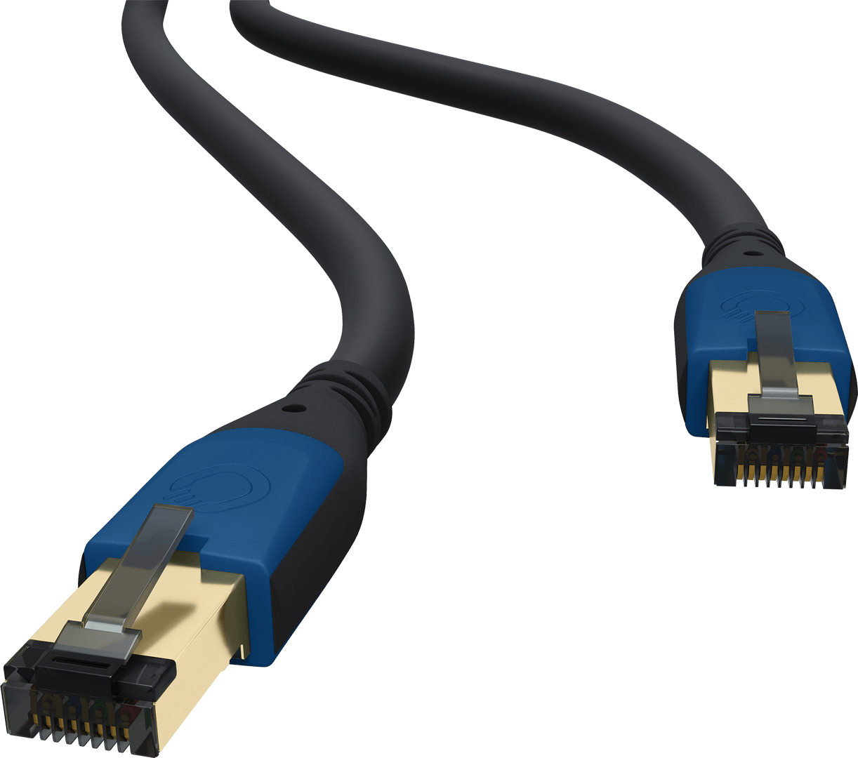 Zwei Netzwerkkabel mit blauen Steckern, nebeneinander.