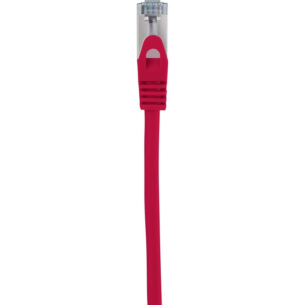 Primo piano di un cavo Ethernet rosso con un connettore in plastica trasparente. Sfondo bianco.