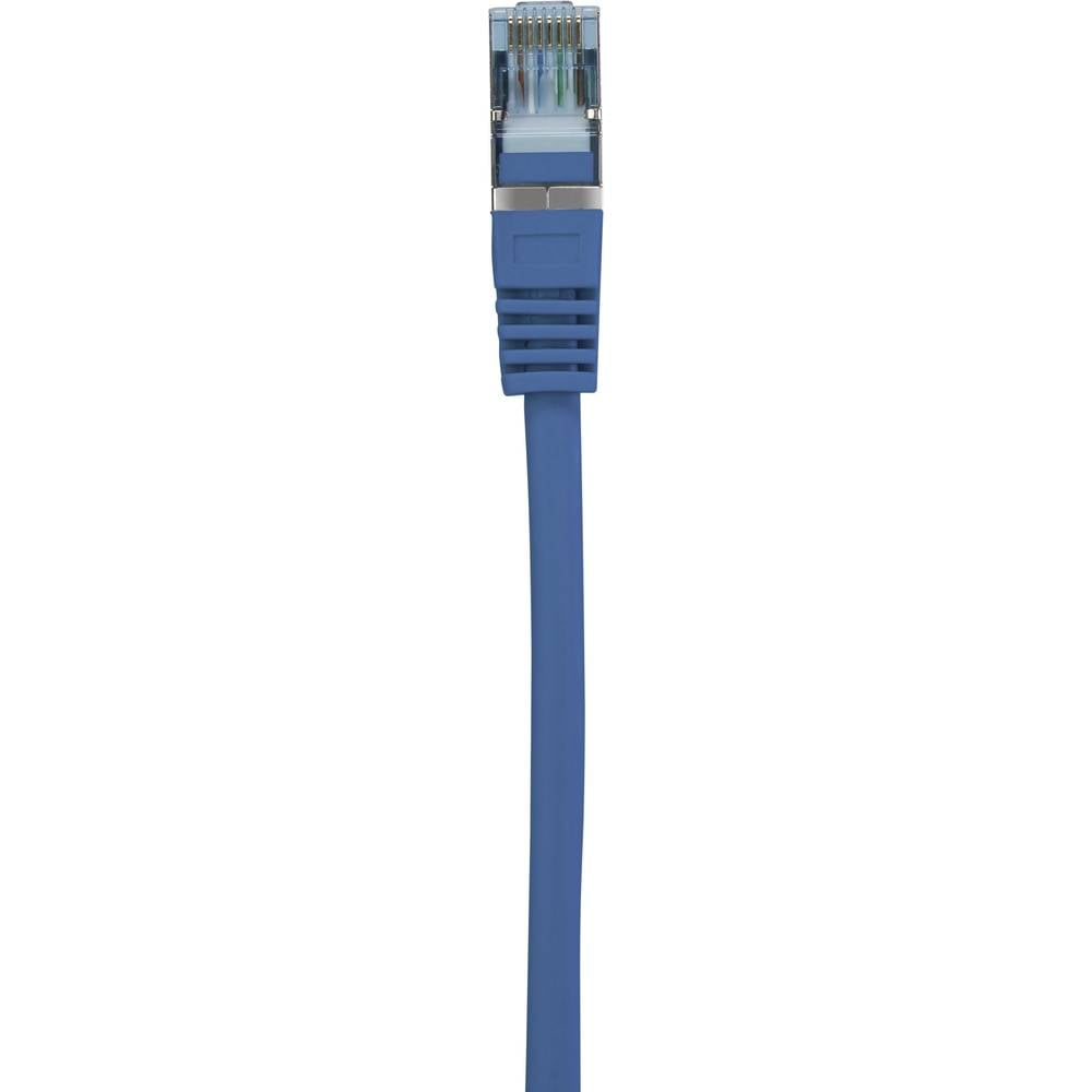 Primo piano di un cavo Ethernet blu con un connettore in plastica trasparente. Sfondo bianco.