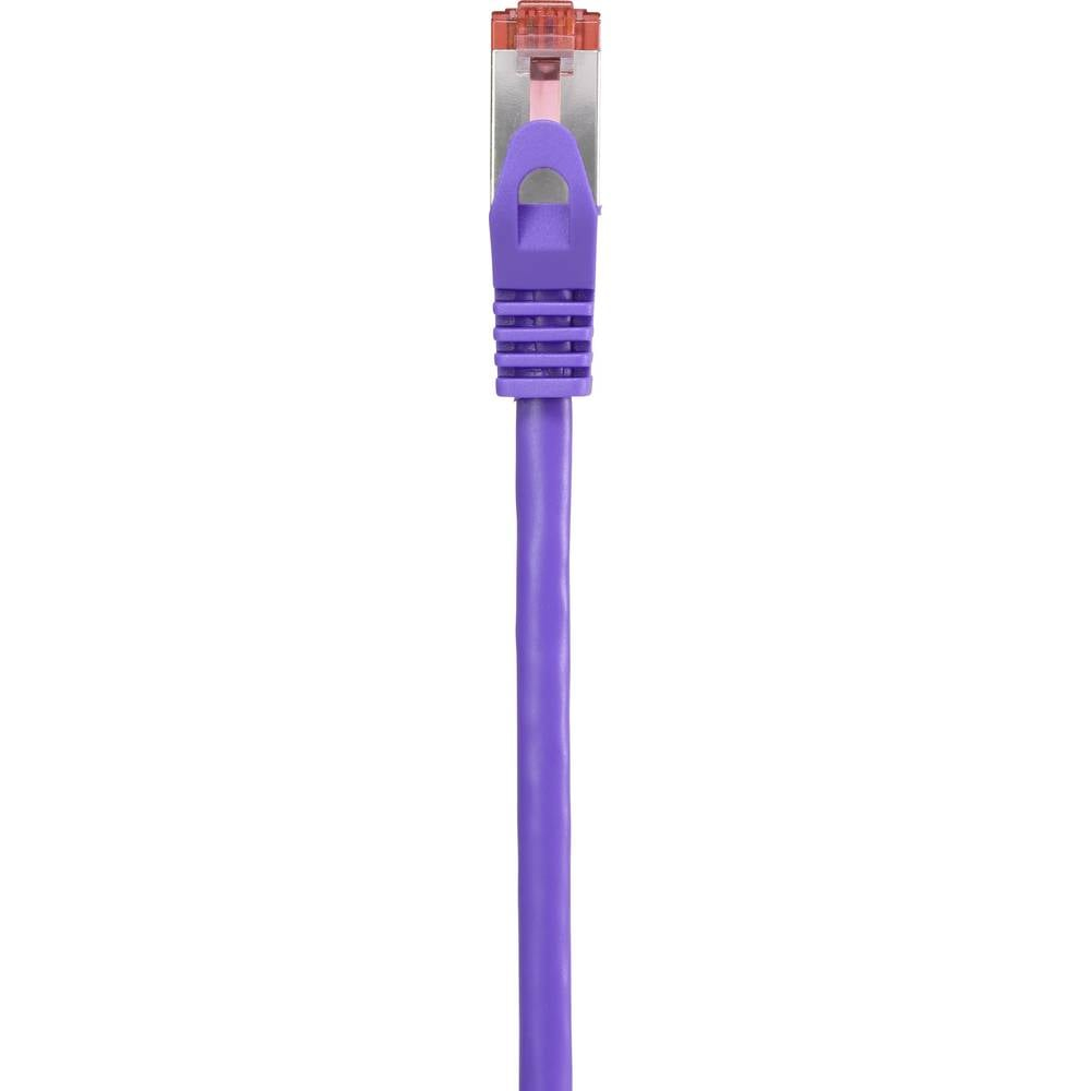Cavo di rete viola con connettore viola, sfondo bianco.