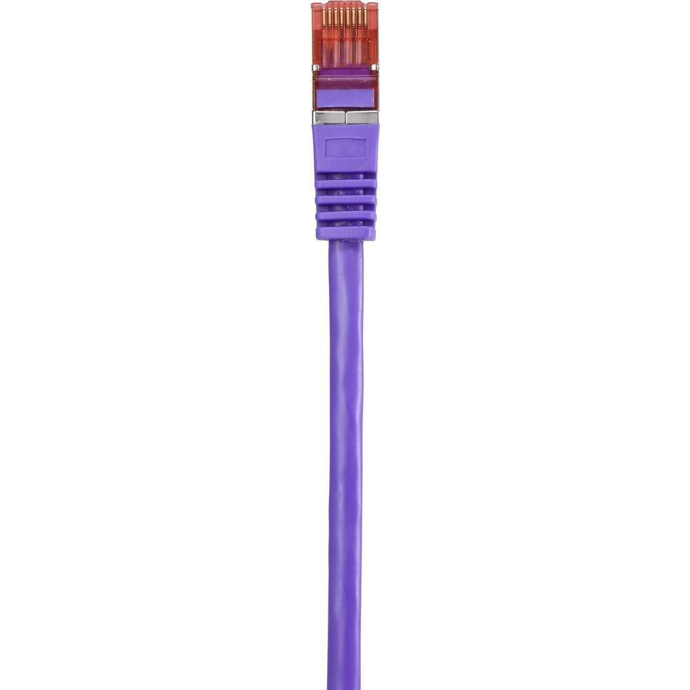 Cavo Ethernet viola con connettore. Sfondo bianco.
