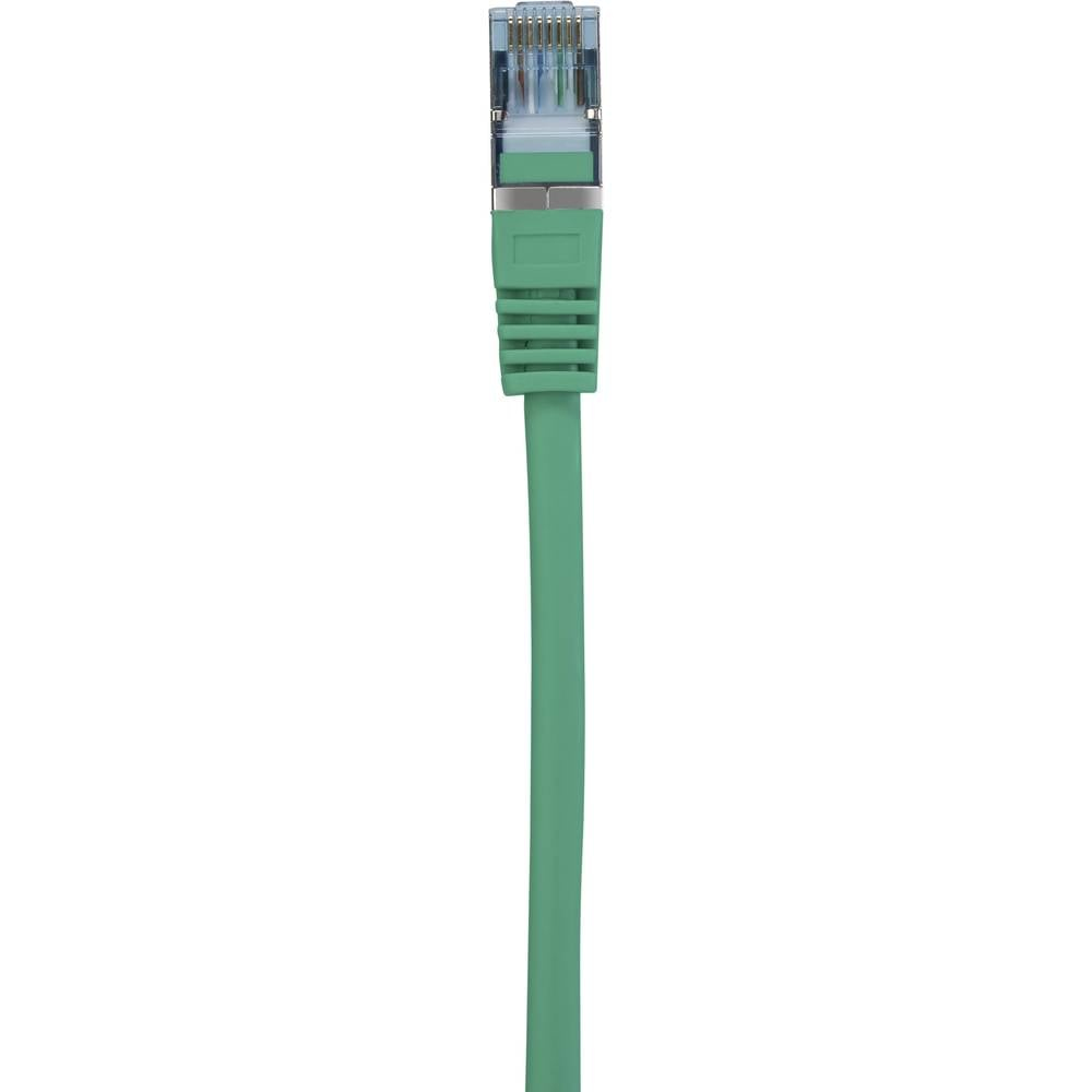 Cavo Ethernet verde, connettore RJ45. Linguetta di rilascio verde. Sfondo bianco.
