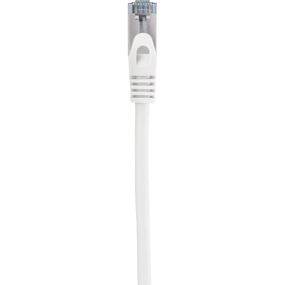 Primo piano di un cavo Ethernet bianco con un connettore in plastica trasparente. Sfondo bianco.