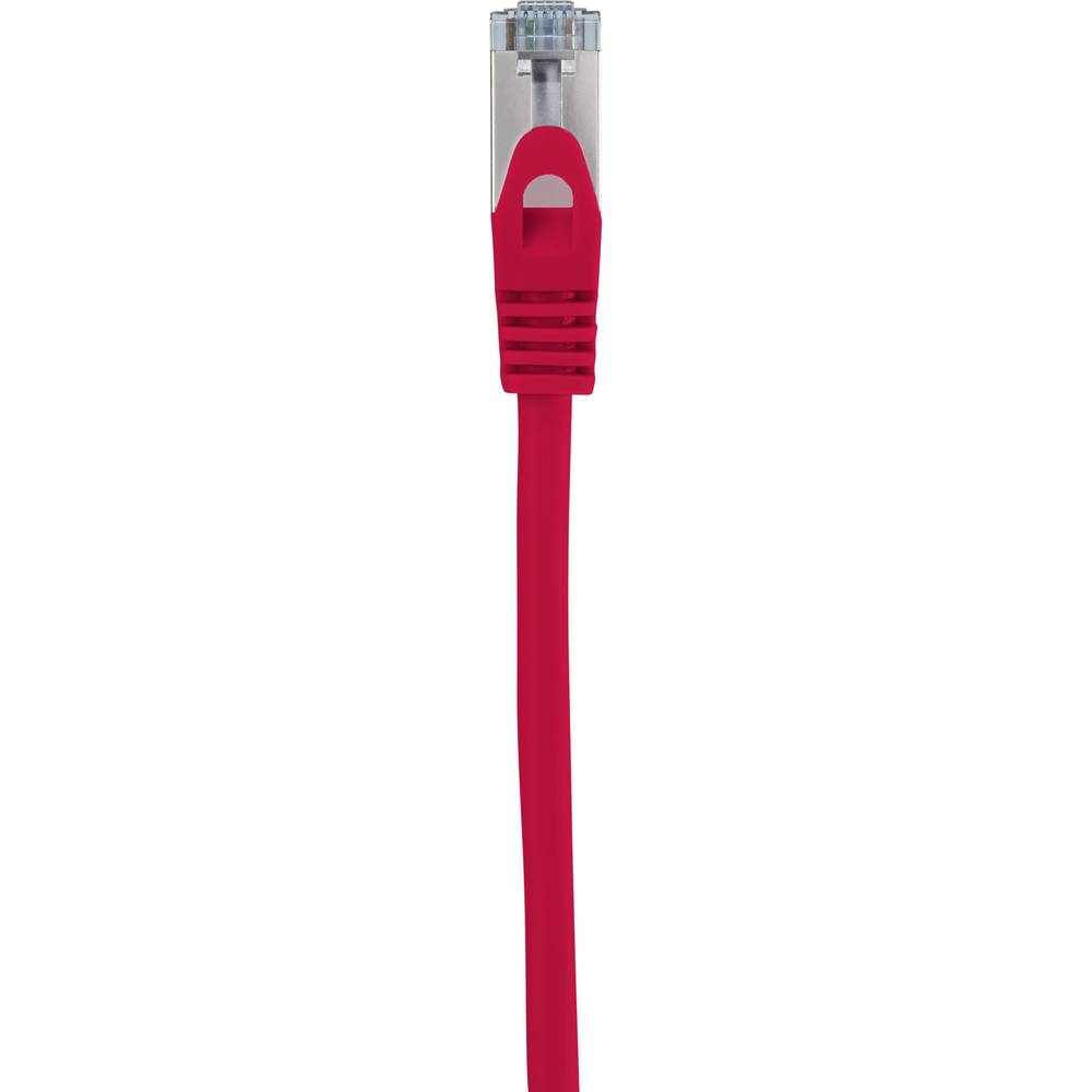 Un connettore per cavo Ethernet rosso. Il cavo è rosso e il connettore è trasparente.