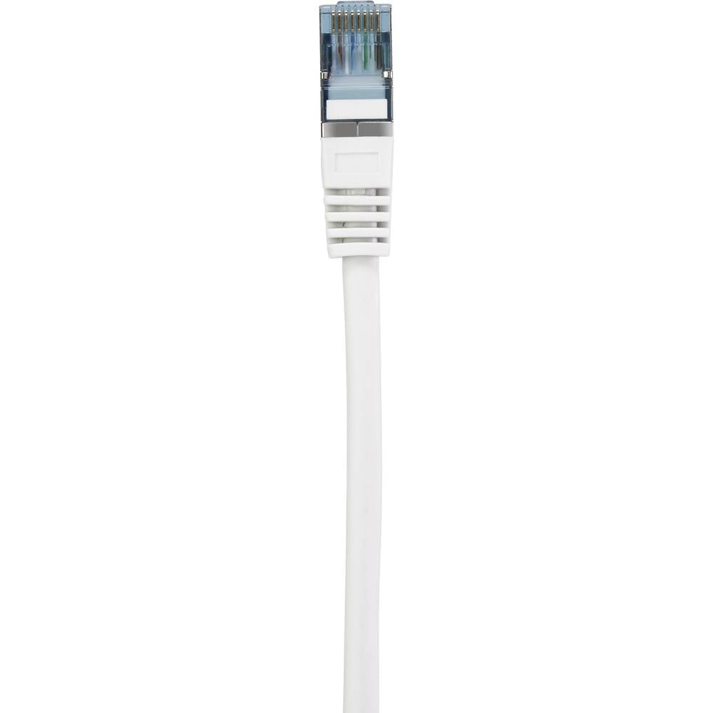 Un connettore per cavo Ethernet bianco. Il cavo è bianco e il connettore è trasparente.