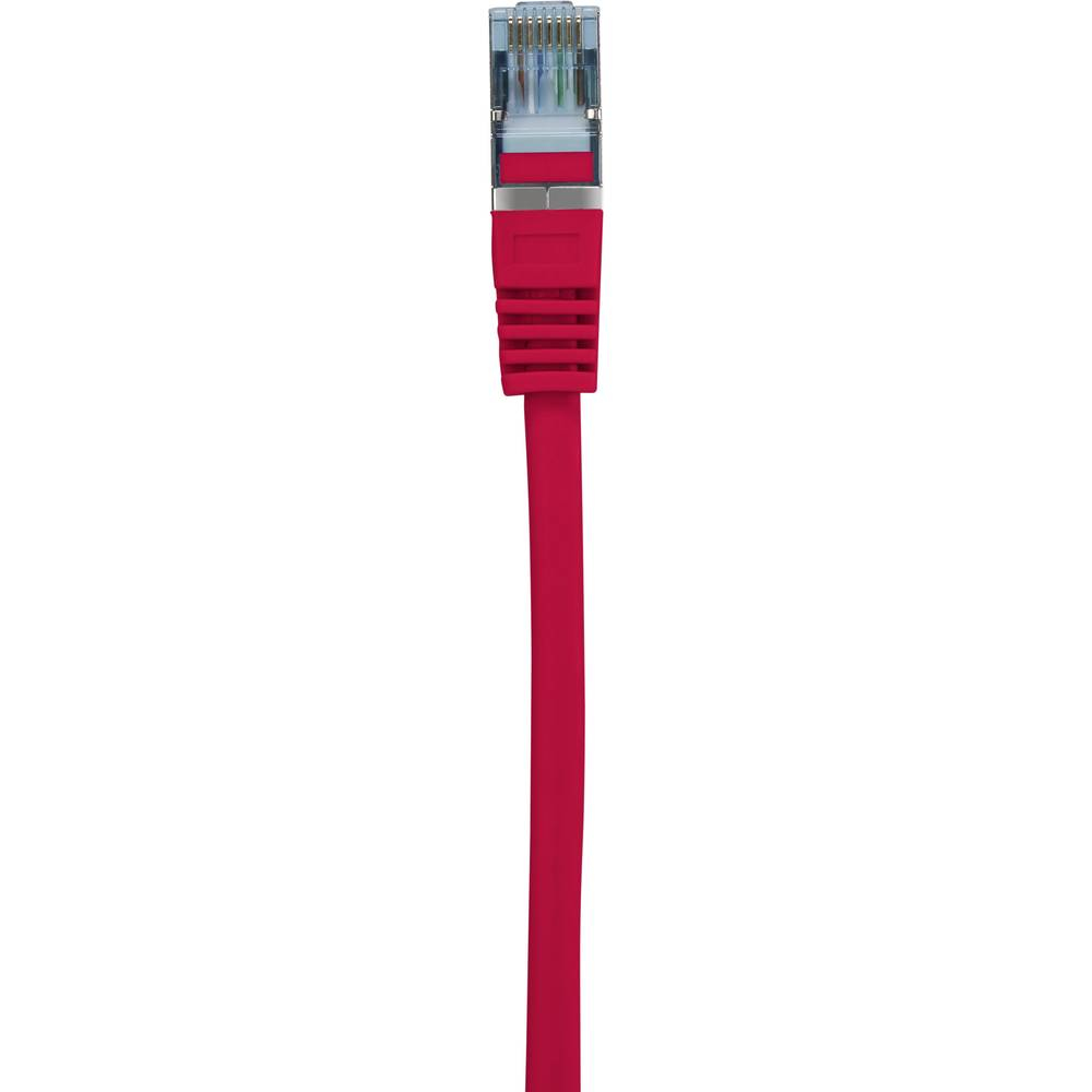 Cavo di rete rosso con connettore rosso, sfondo bianco.