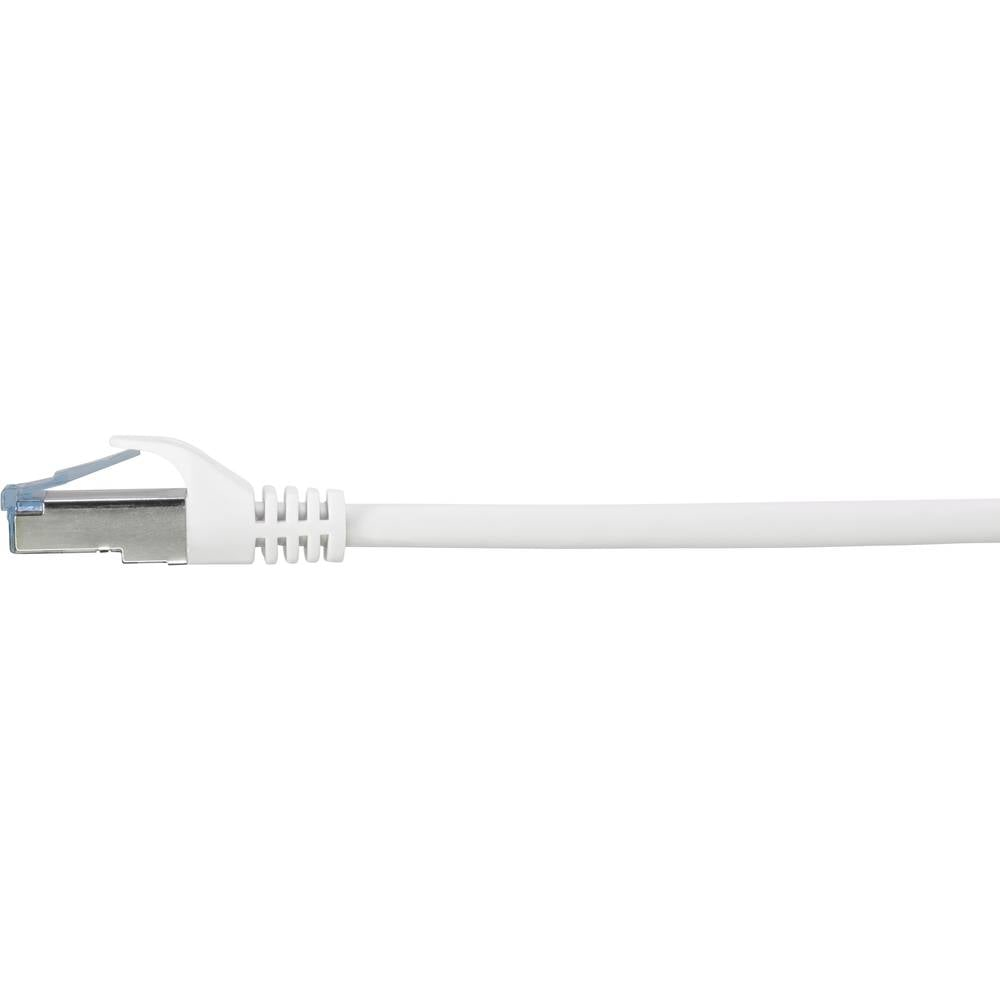 Cavo Ethernet bianco, connettore RJ45. Linguetta di rilascio blu. Sfondo bianco.