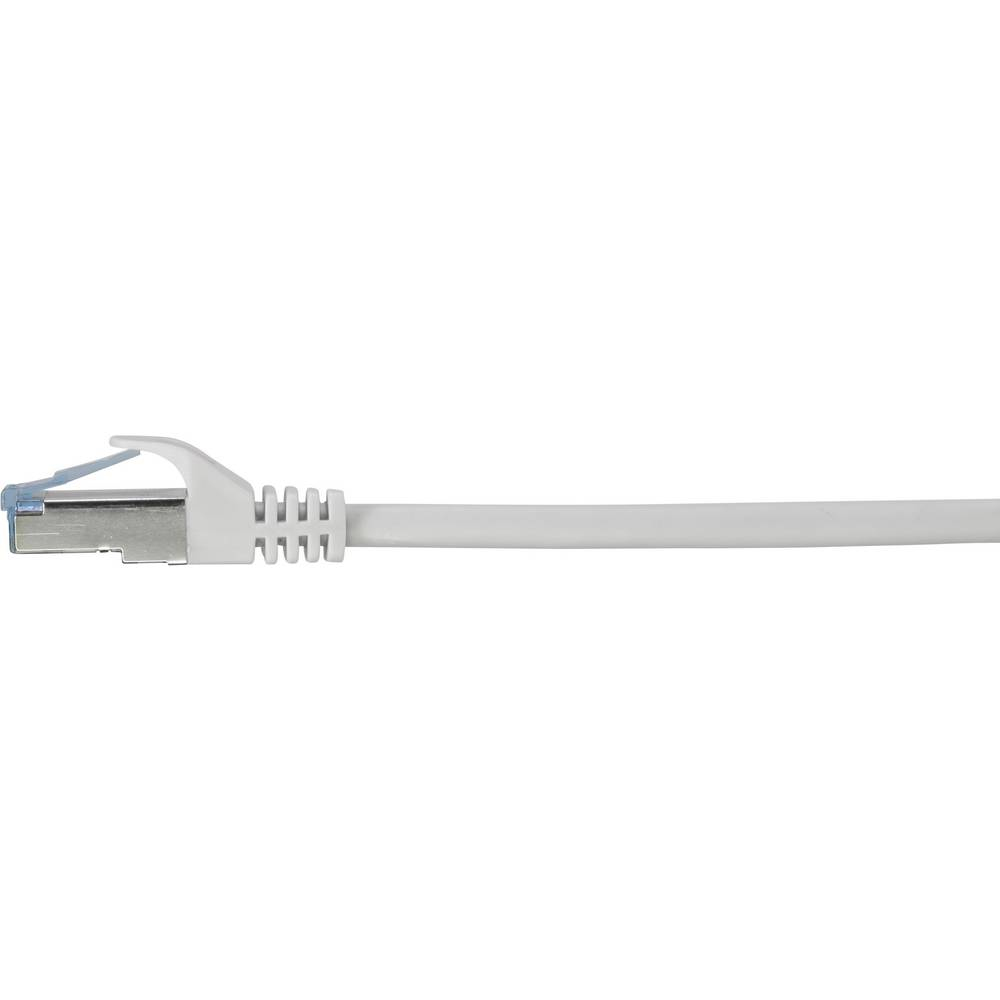 Cavo Ethernet bianco, connettore RJ45. Linguetta di rilascio blu. Sfondo bianco.