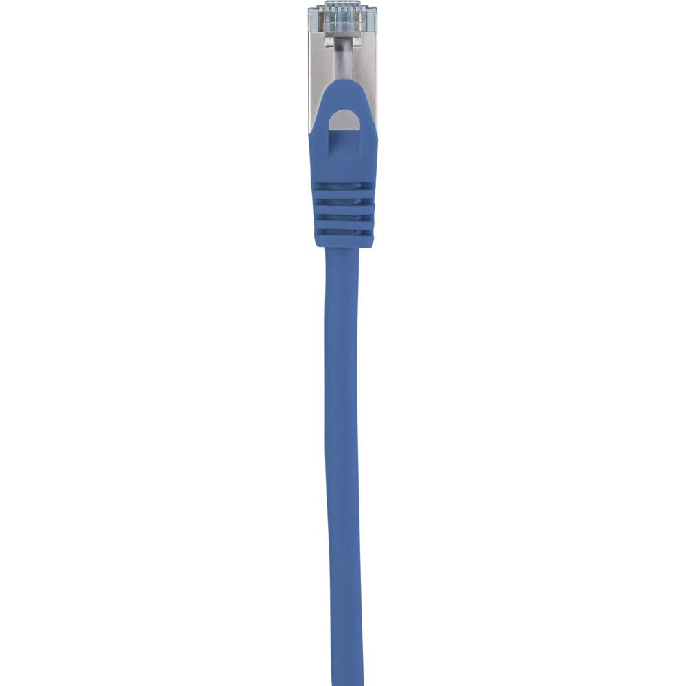 Cavo Ethernet blu, connettore RJ45. Linguetta di rilascio blu. Sfondo bianco.